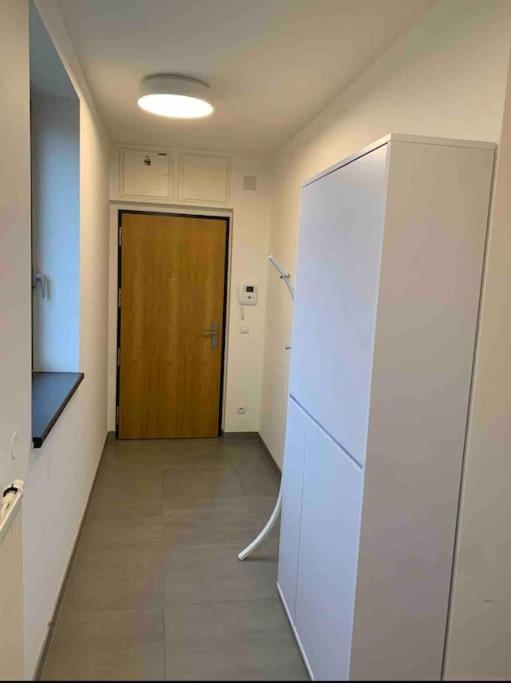 Apartman Holesovice,balkon,garaz