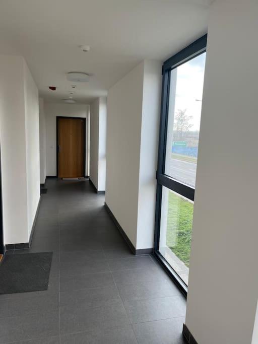 Apartman Holesovice,balkon,garaz