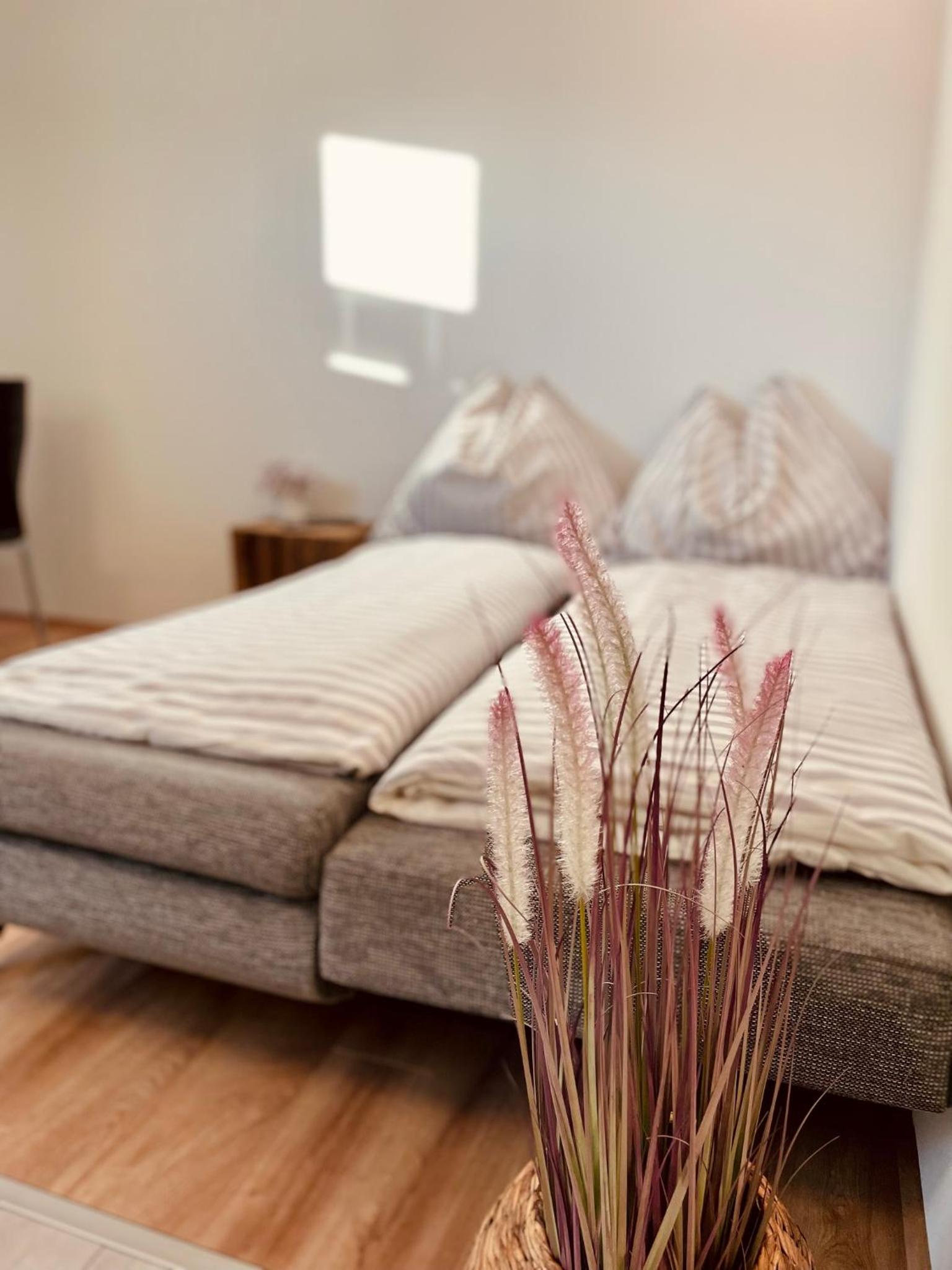 Appartement FELIX