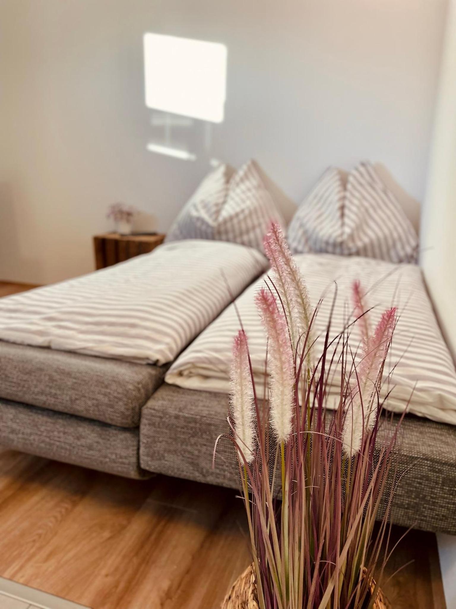 Appartement FELIX
