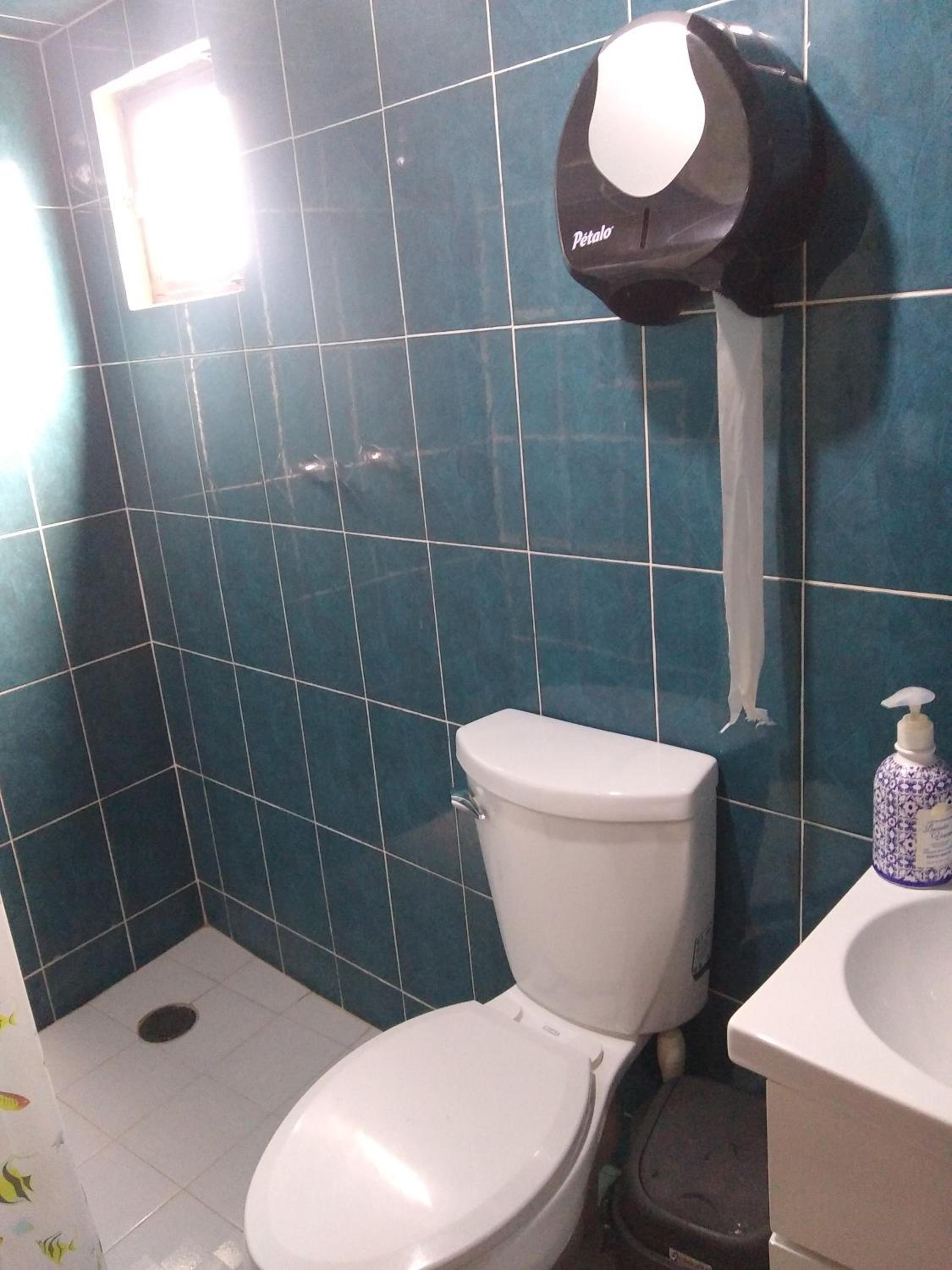 Photo 6