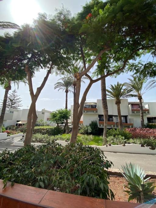Apartamento Déniz Sur - TEN BEL view 2