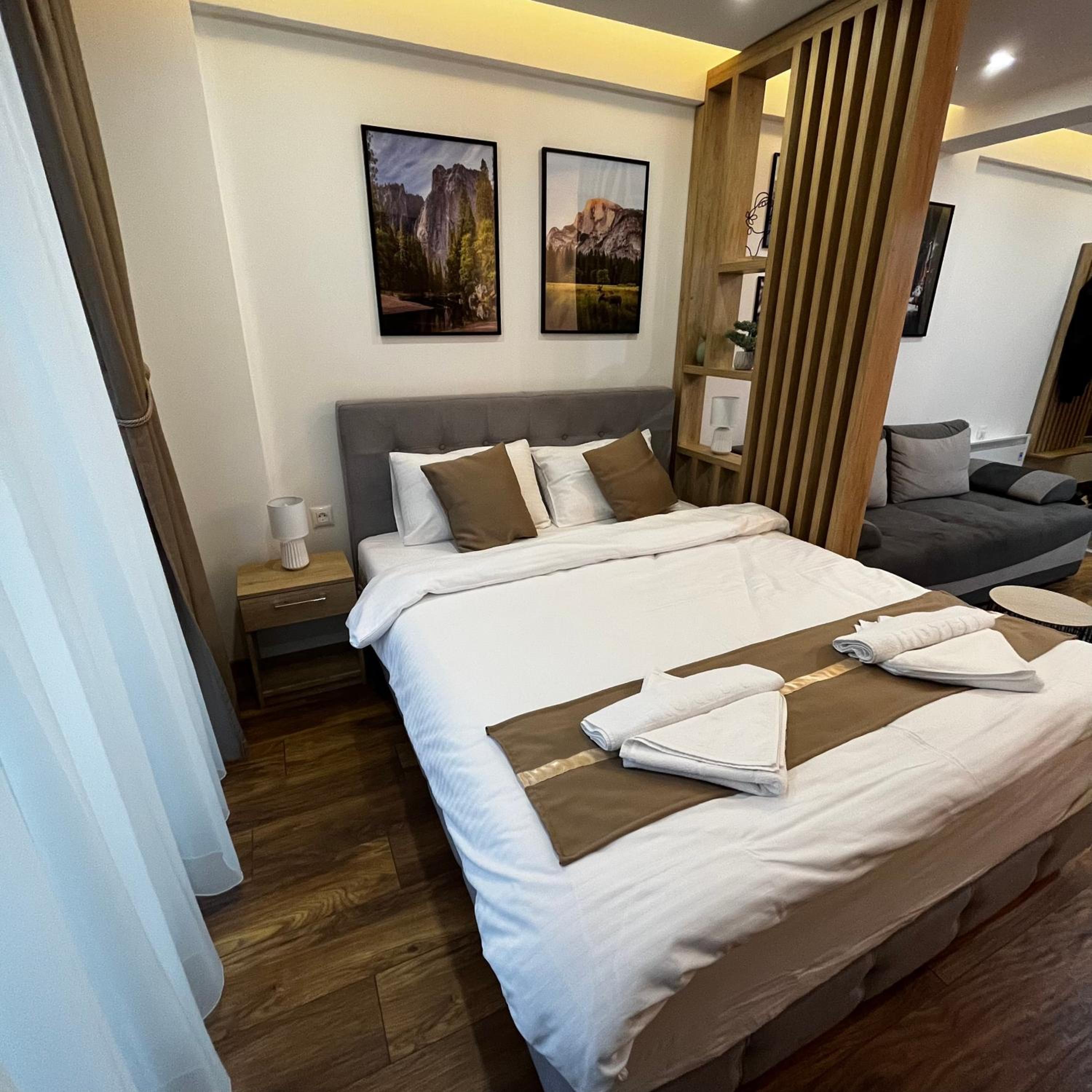 President Kop - Silver Ice Apartment view 5