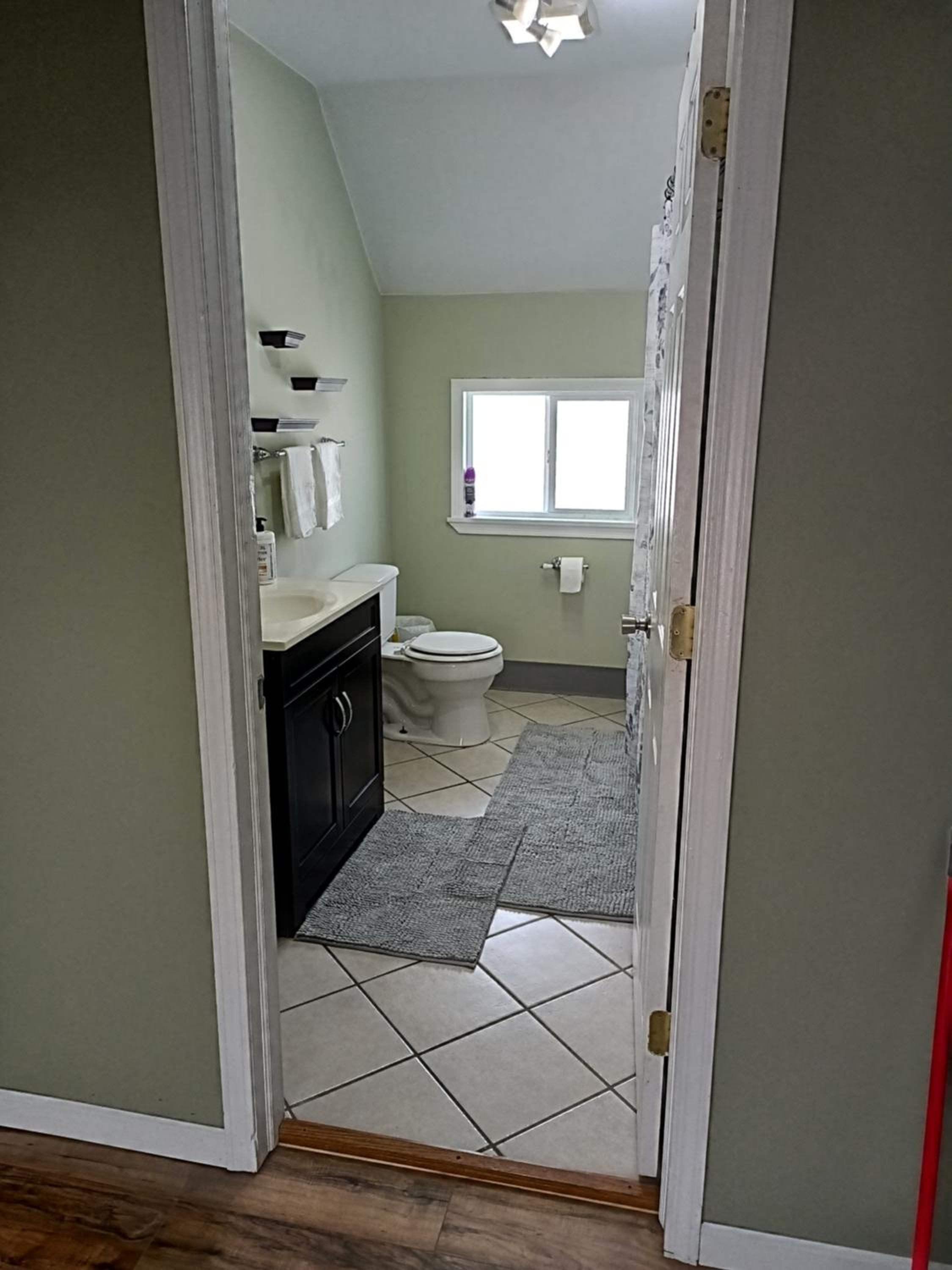 Cozy Updated 3-BR apartment near Peace Bridge view 4