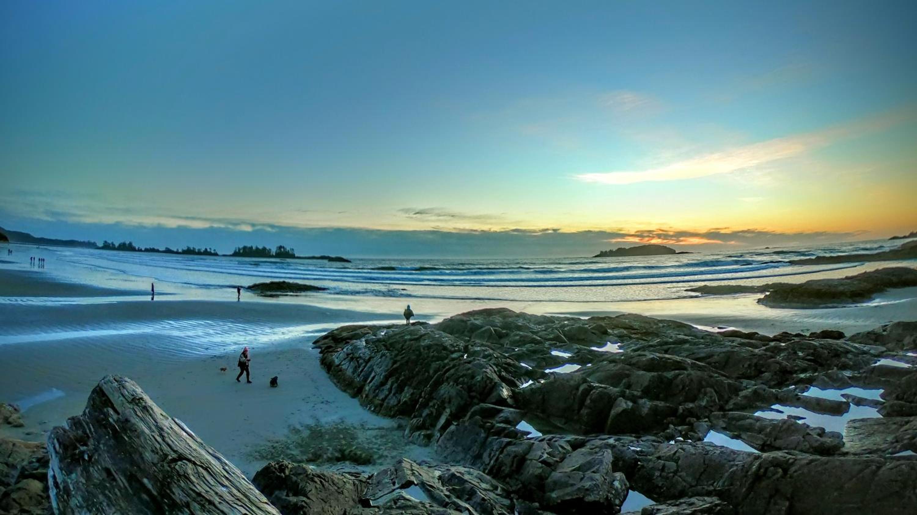 Tofino Vacations - Cobble Wood and Bird Sanctuary Guest Houses - Property Image 104