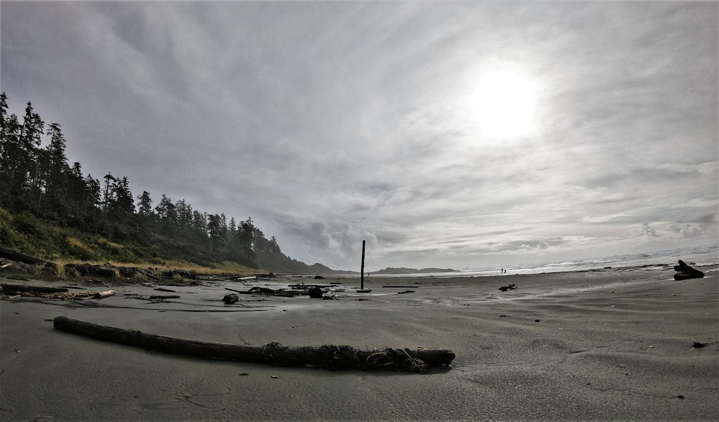 Tofino Vacations - Cobble Wood and Bird Sanctuary Guest Houses - Property Image 103