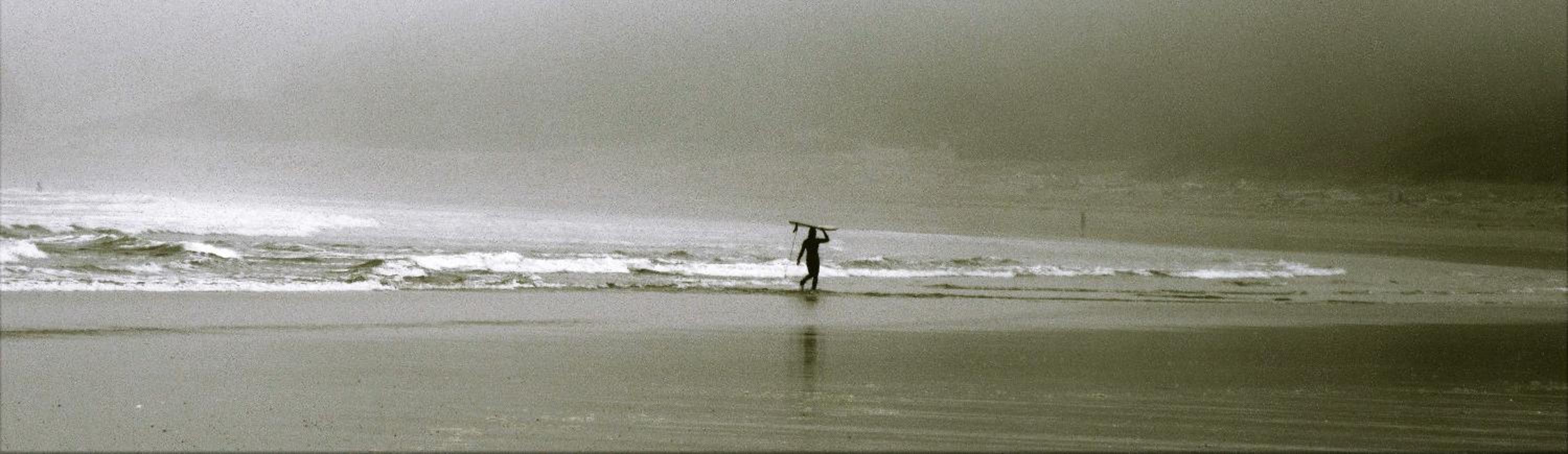 Tofino Vacations - Cobble Wood and Bird Sanctuary Guest Houses - Property Image 106