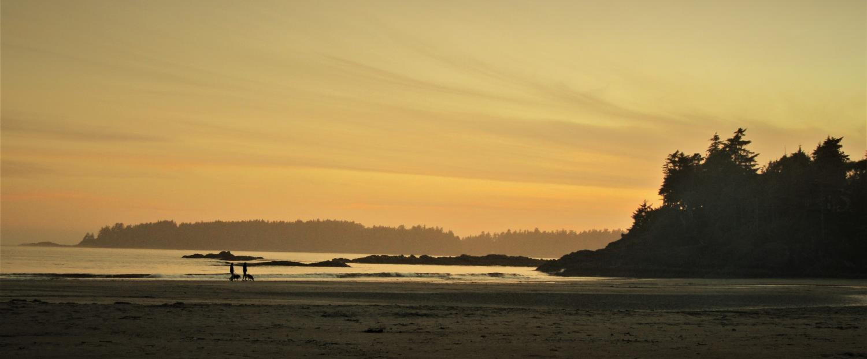 Tofino Vacations - Cobble Wood and Bird Sanctuary Guest Houses - Property Image 108