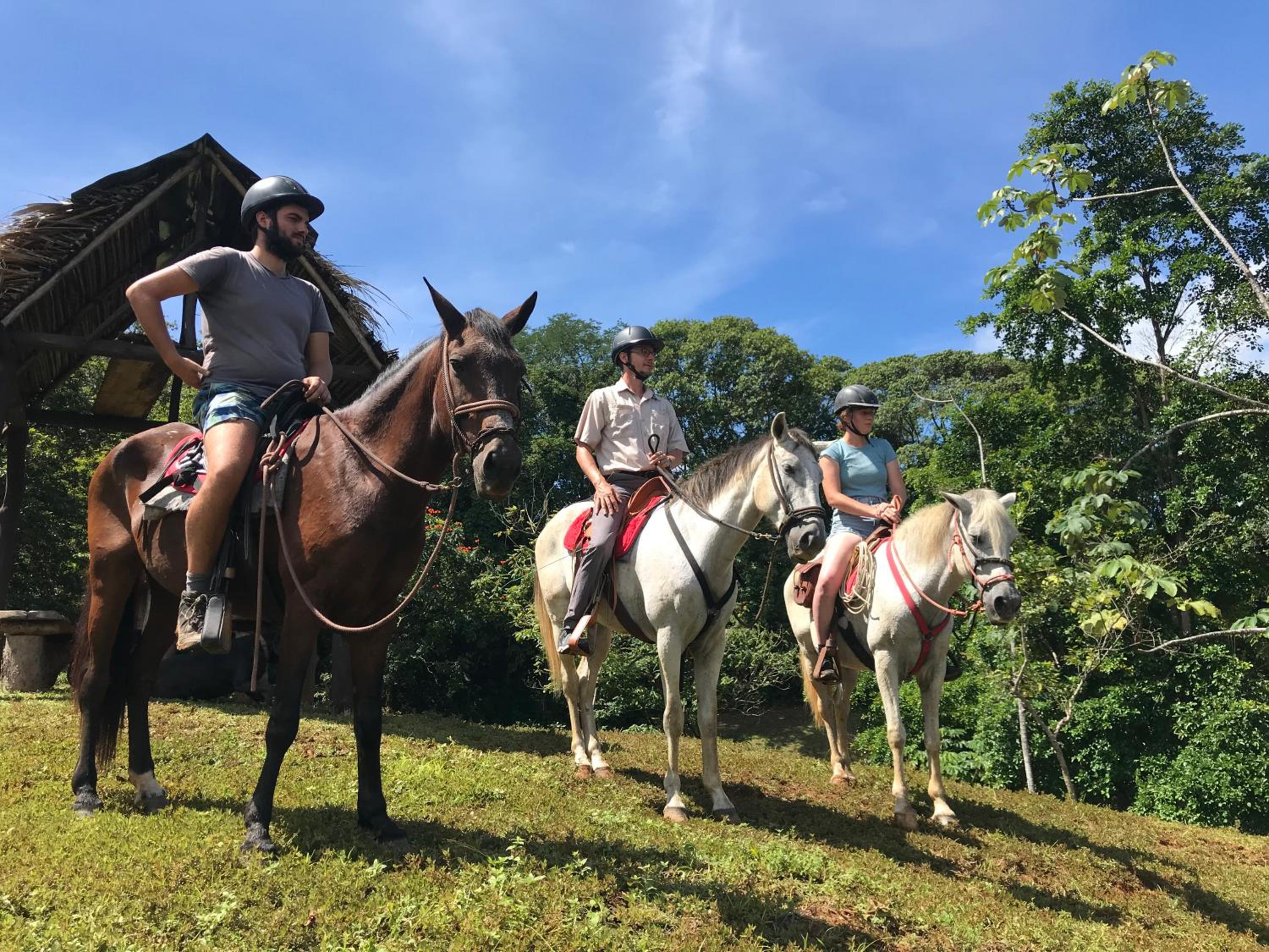Hacienda Mil Bellezas - Private 40ha Jungle Reserve