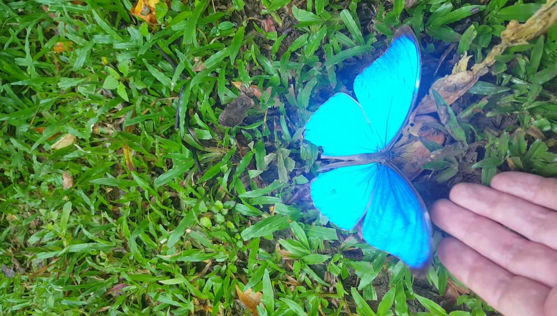 Hacienda Mil Bellezas - Private 40ha Jungle Reserve