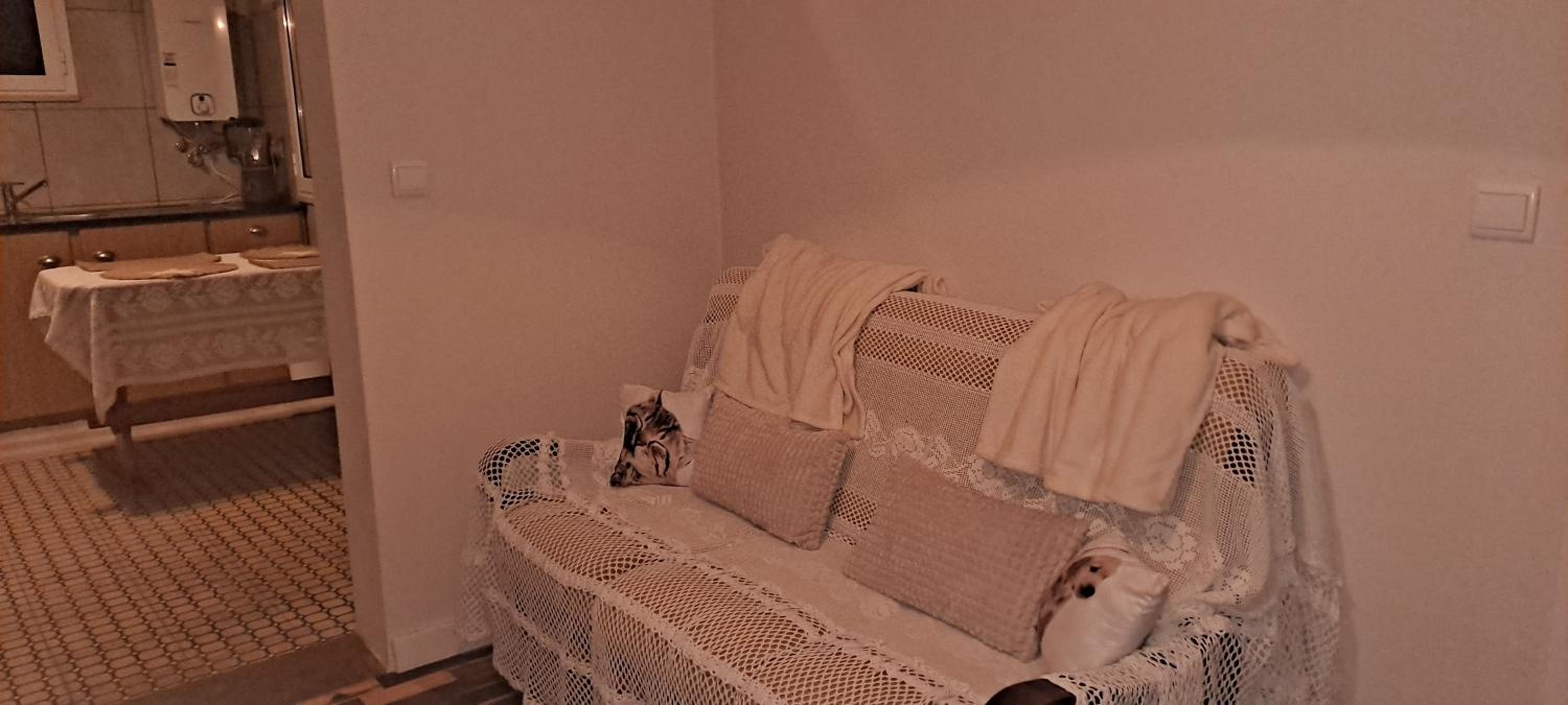 Photo 36