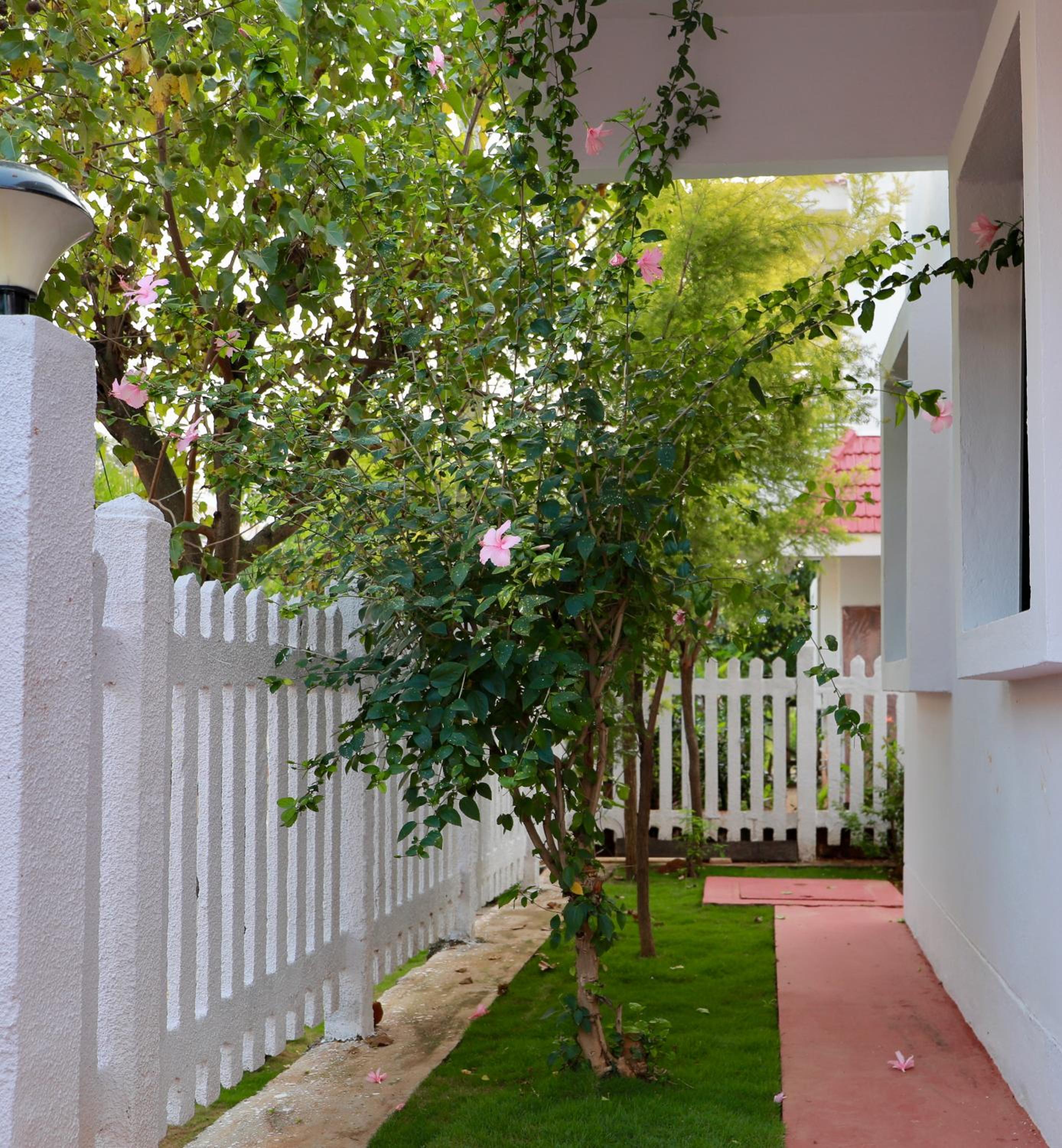 Tranquil Staycation - Independent Duplex House view 4