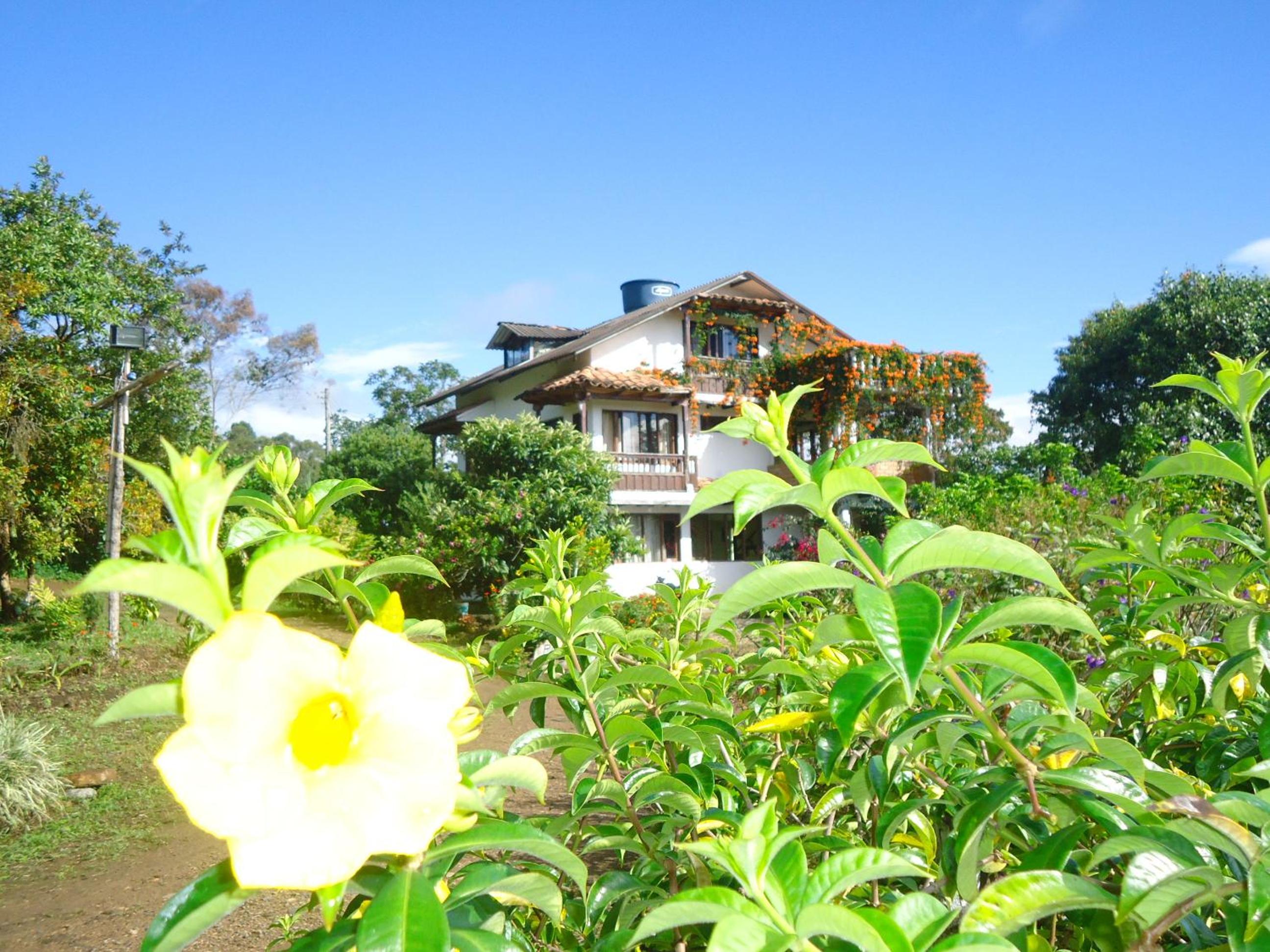 Hostal Pachamama