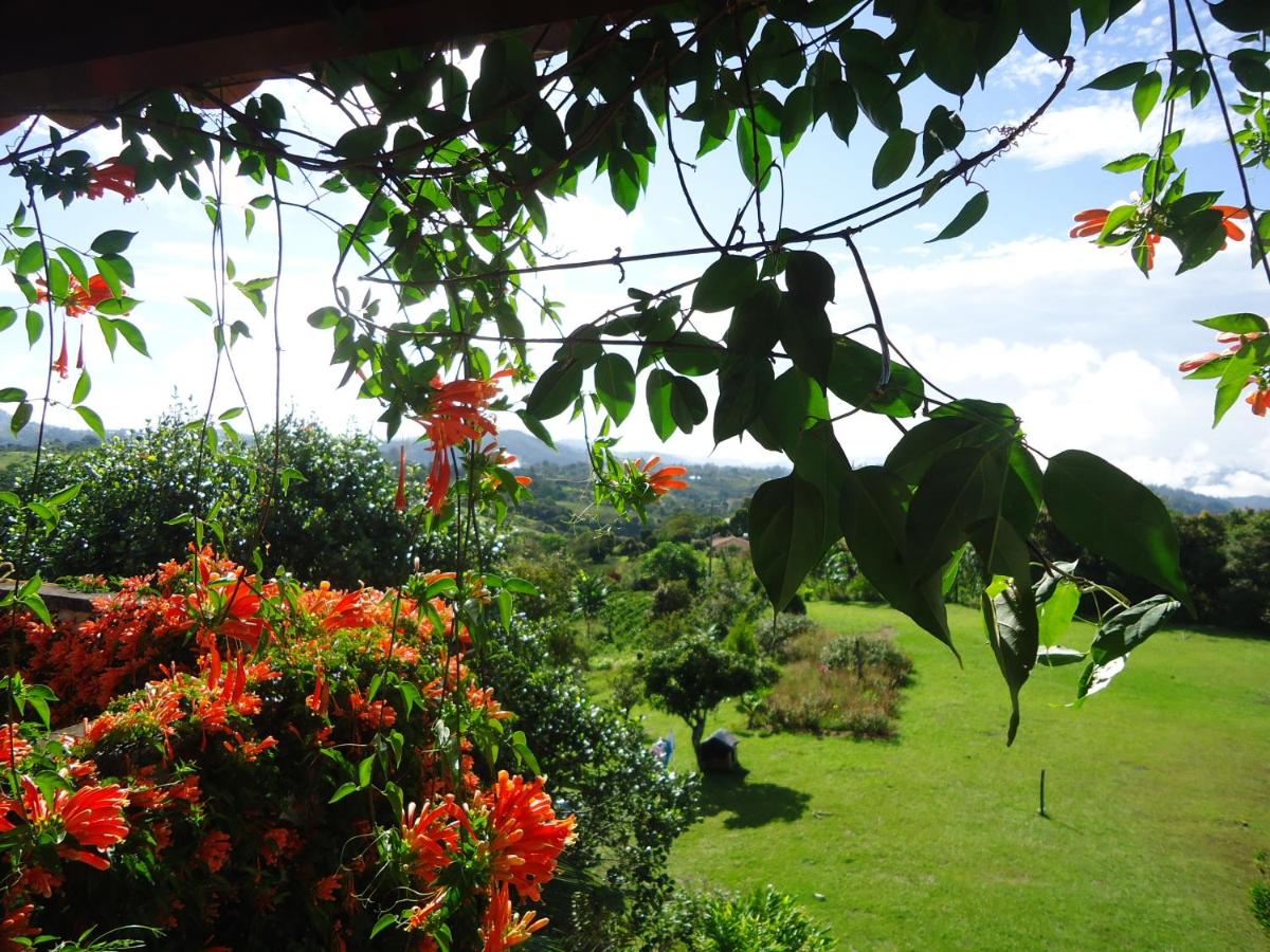 Hostal Pachamama