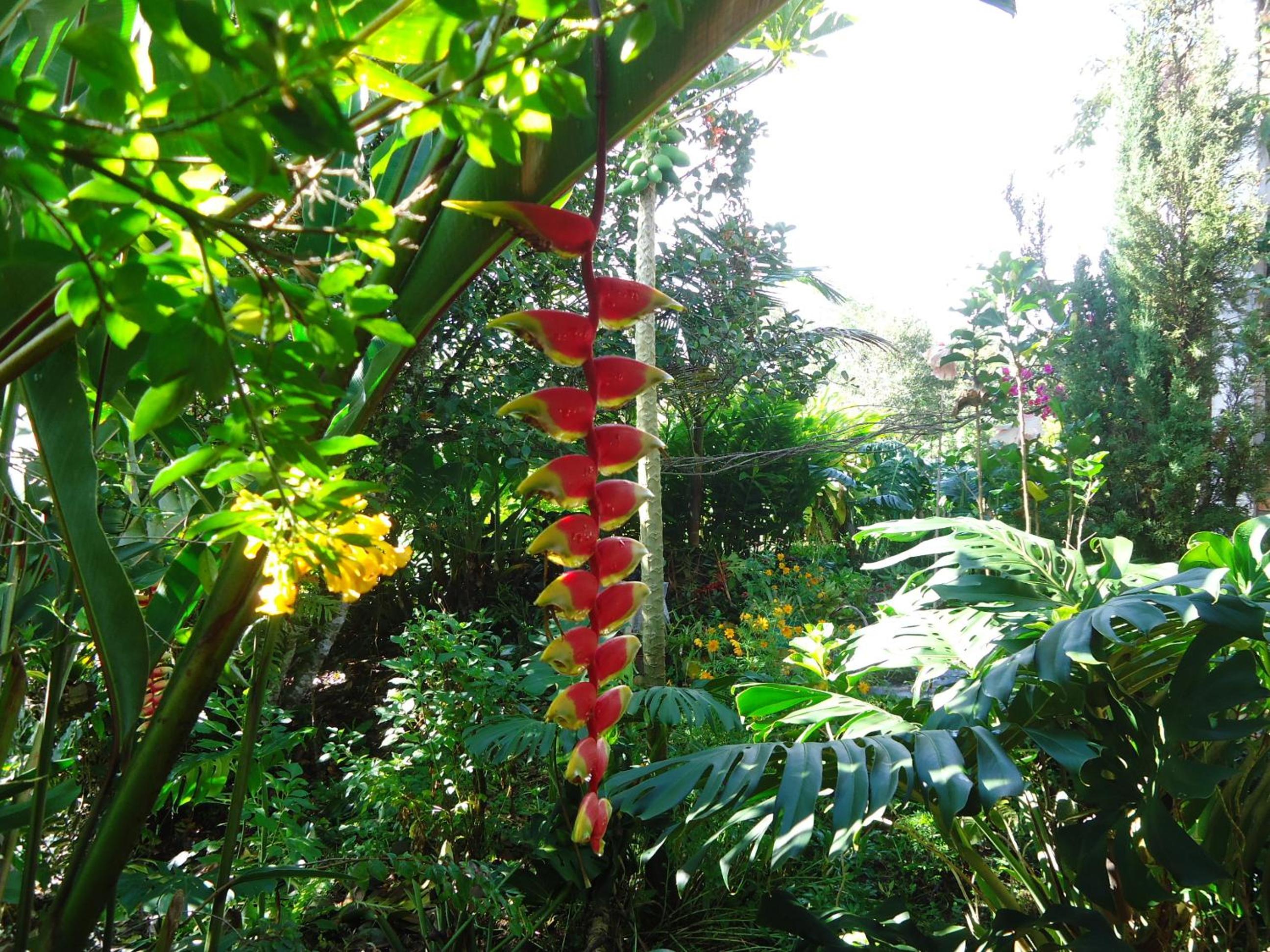 Hostal Pachamama