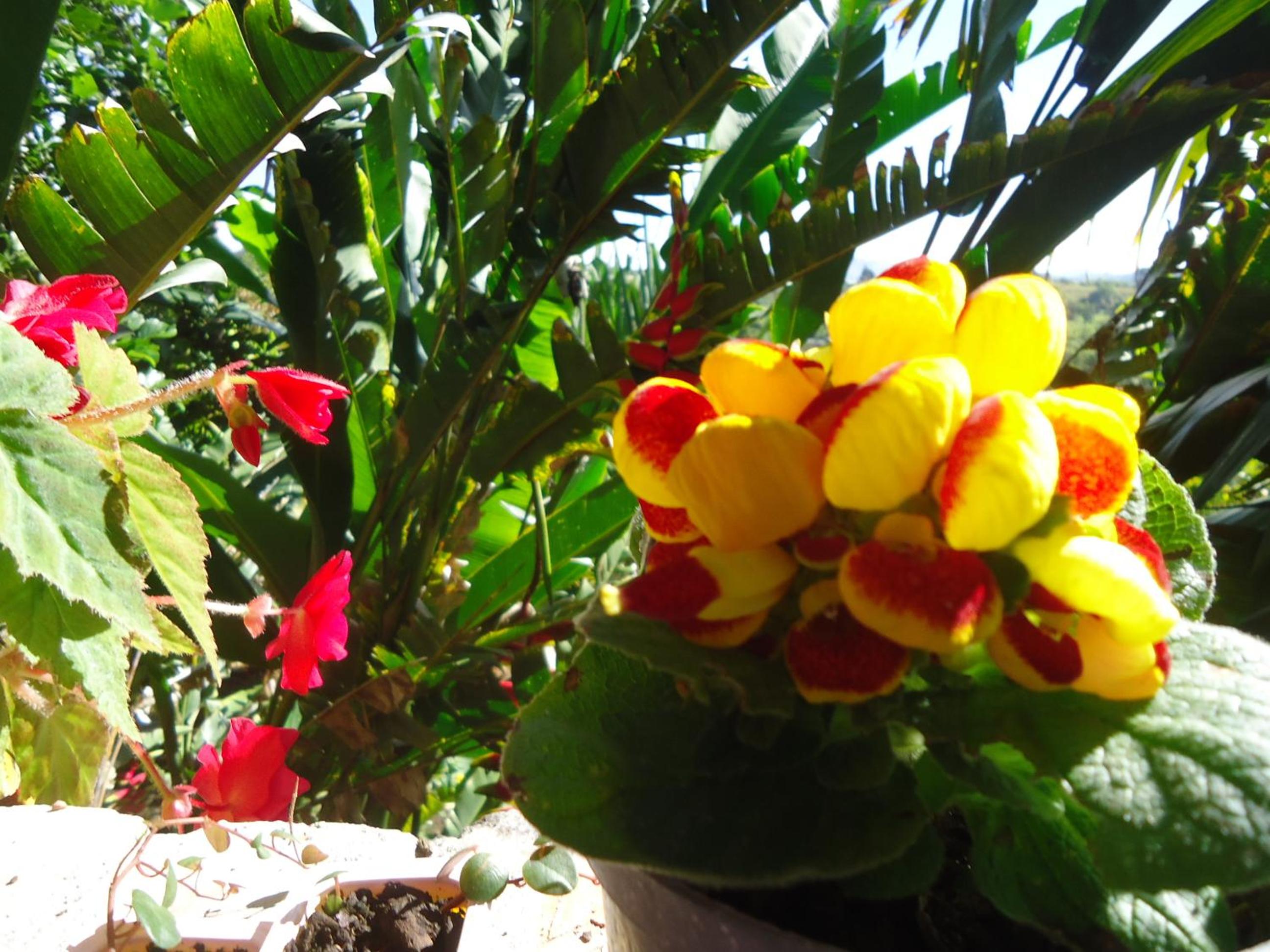 Hostal Pachamama