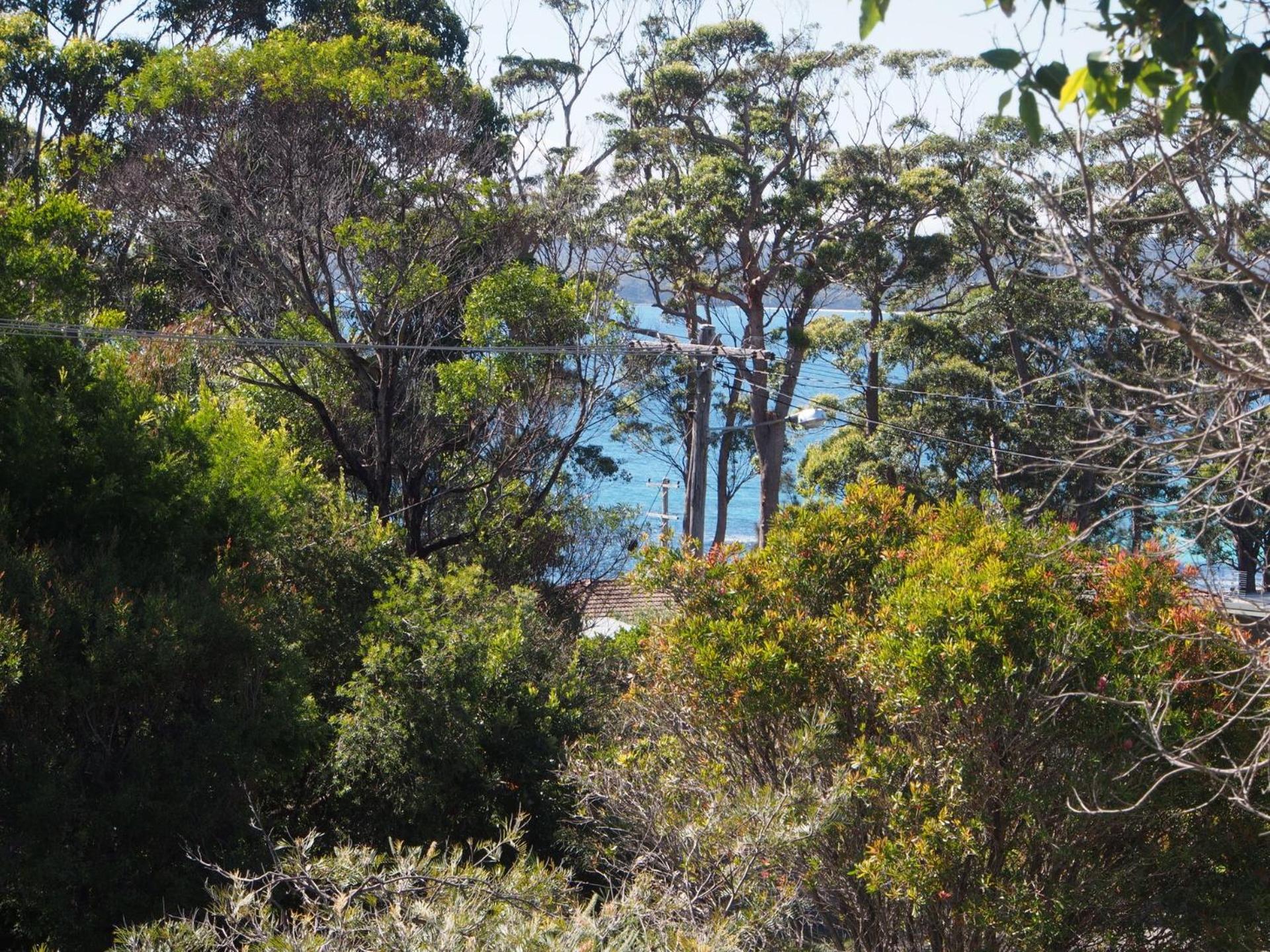 Tiptoe Hyams Beach
