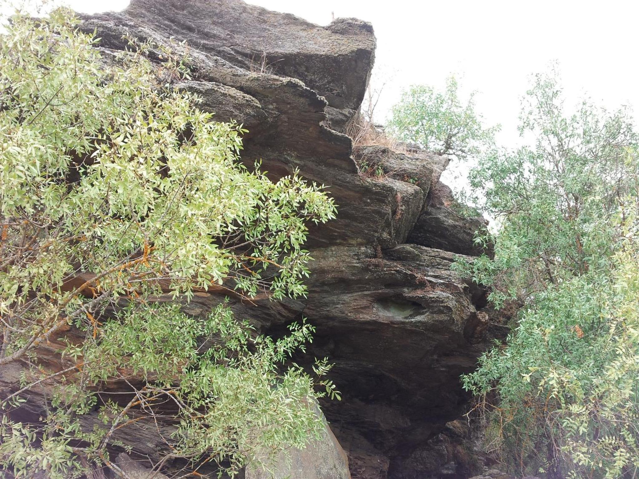 El Molino de Losacio