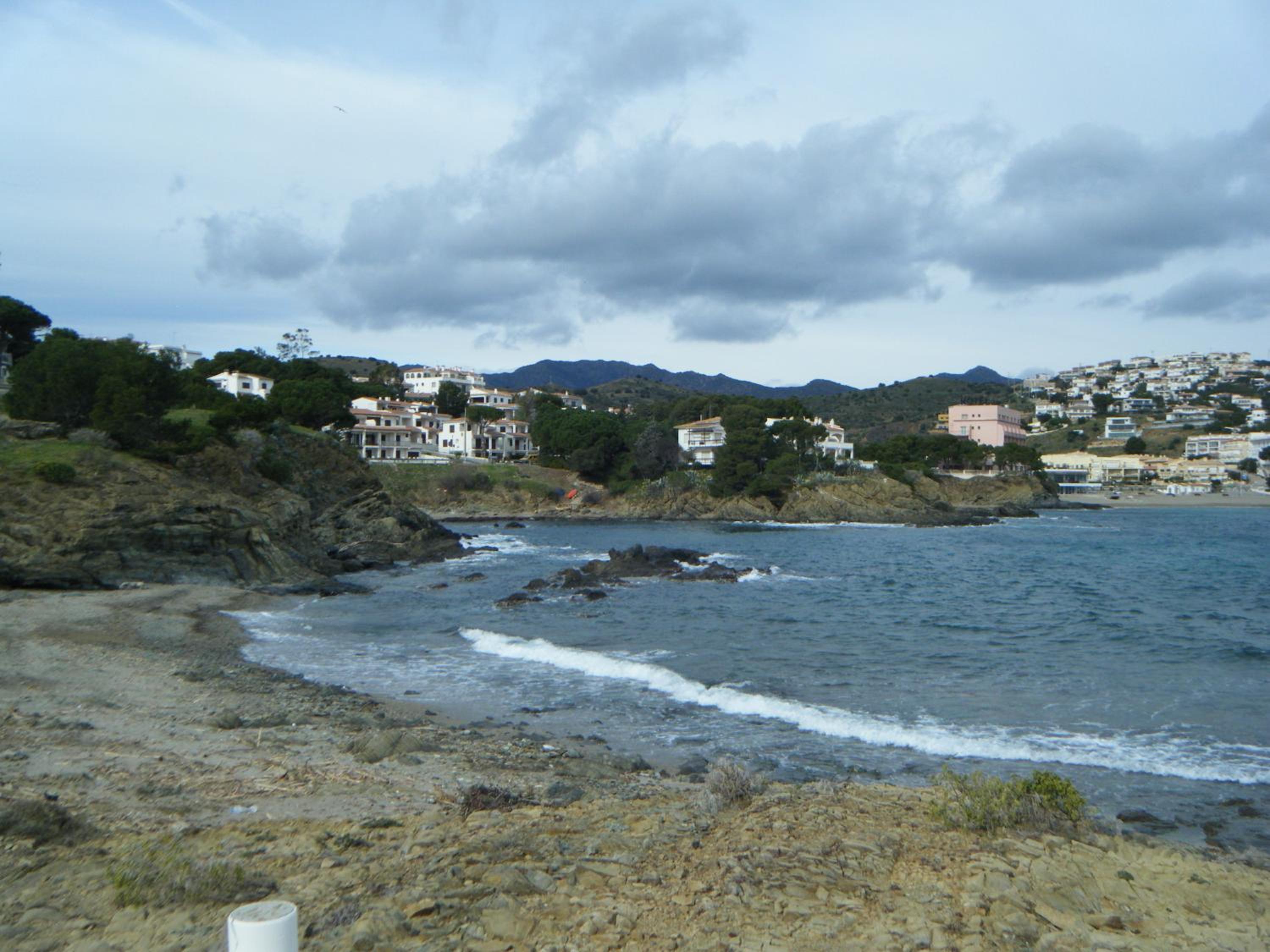 Photo 8