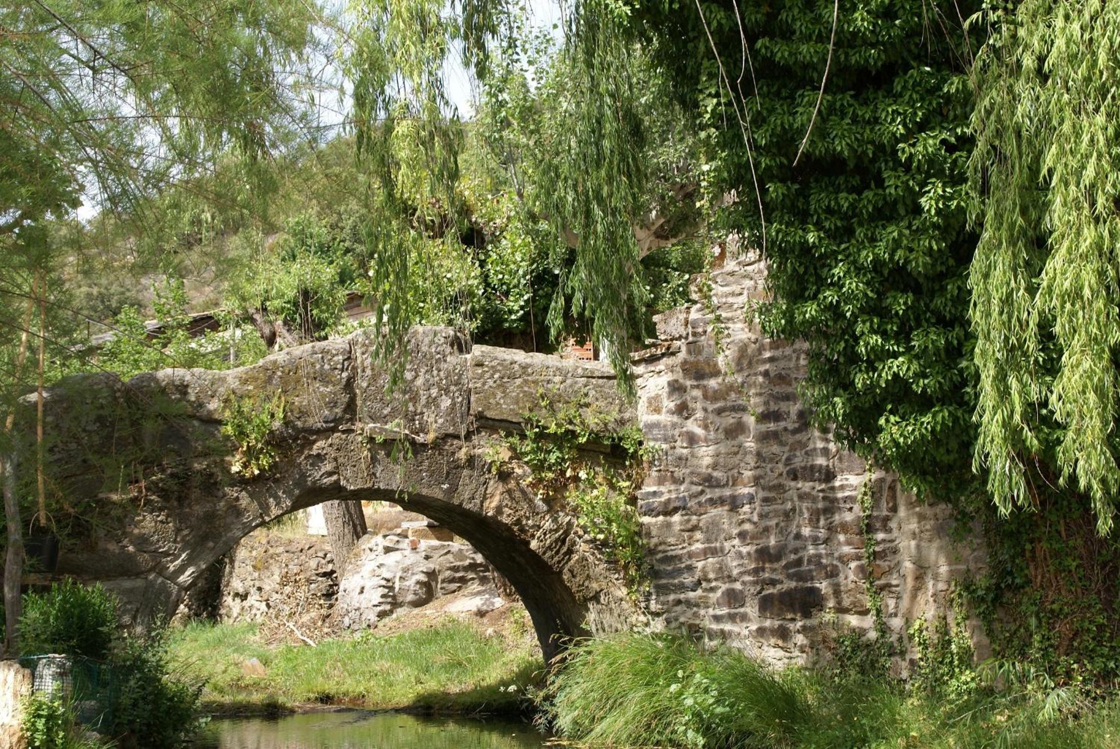 El Molino de Losacio