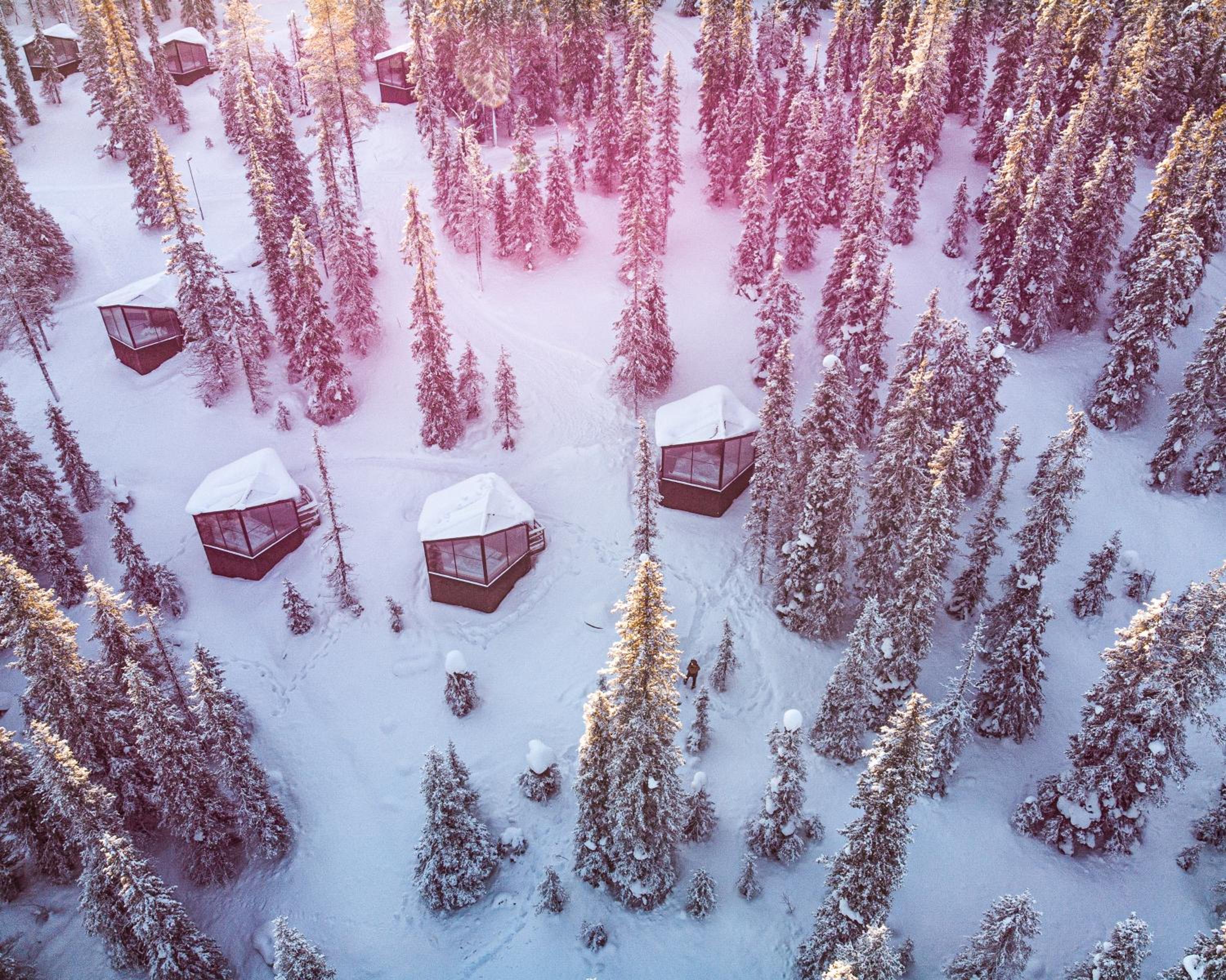 Magical Pond Nature Igloos view 5