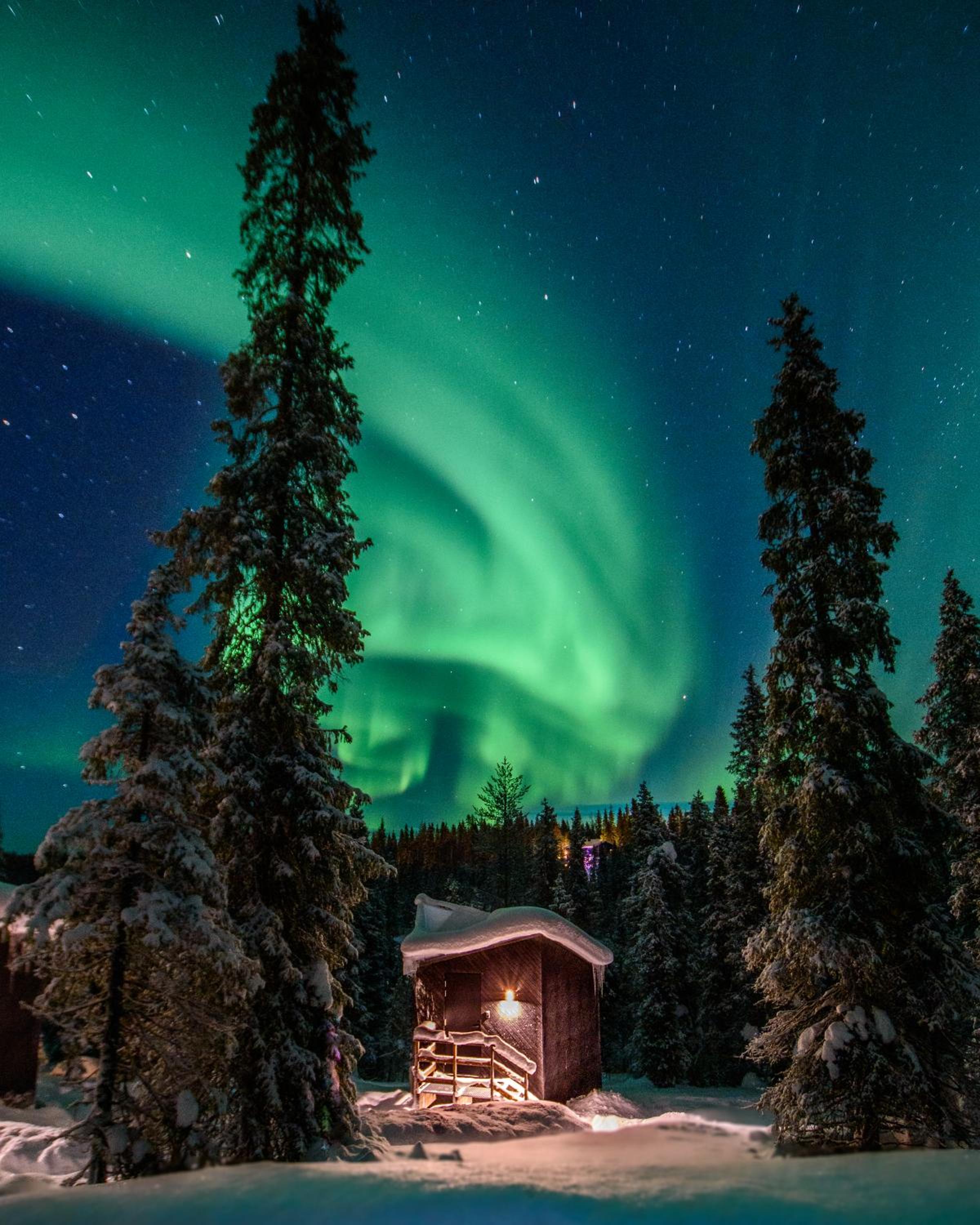 Magical Pond Nature Igloos view 2