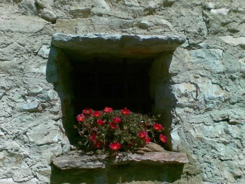 Romantic Dream view 4