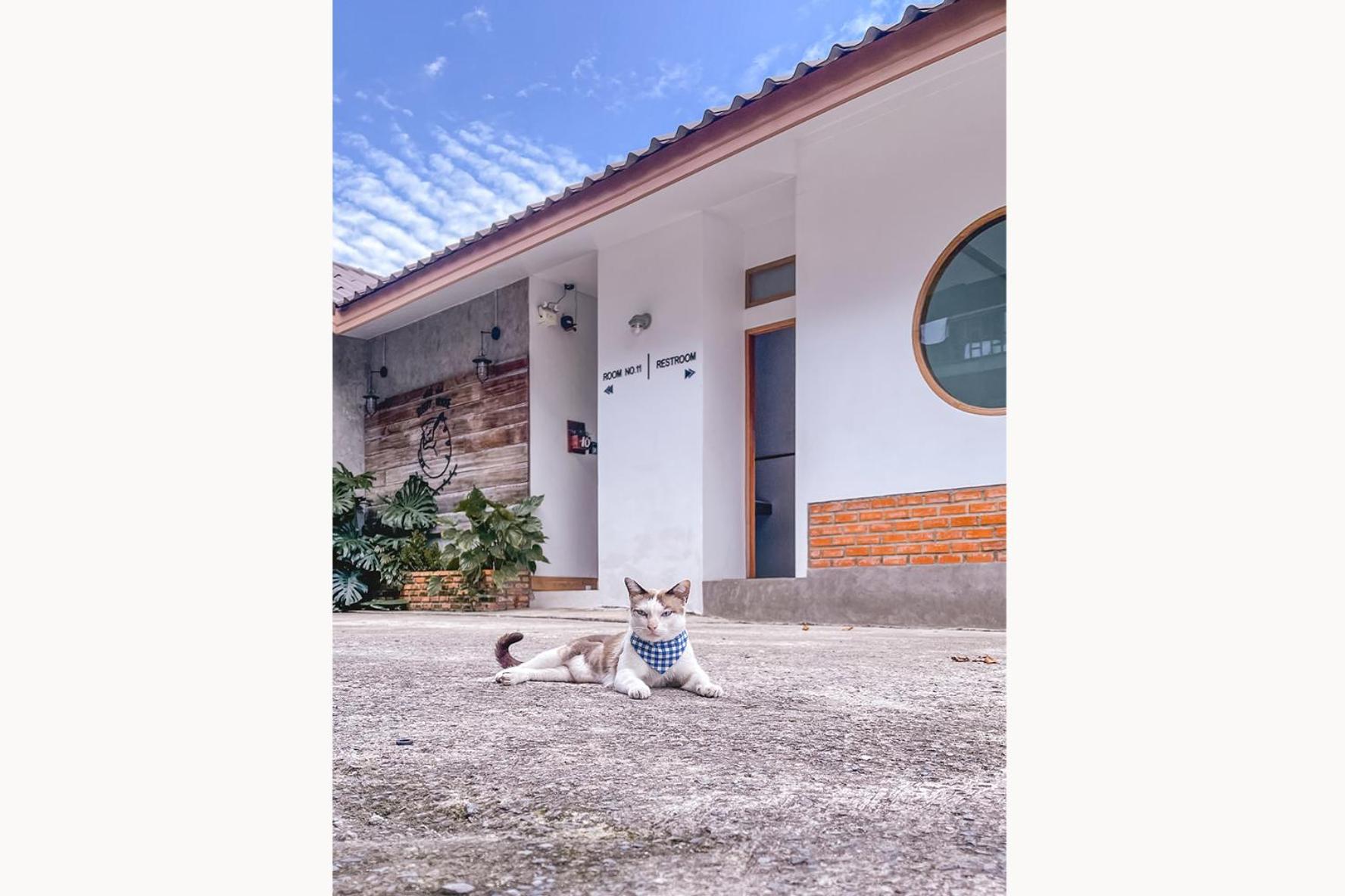 Sleepy House Chiang Rai