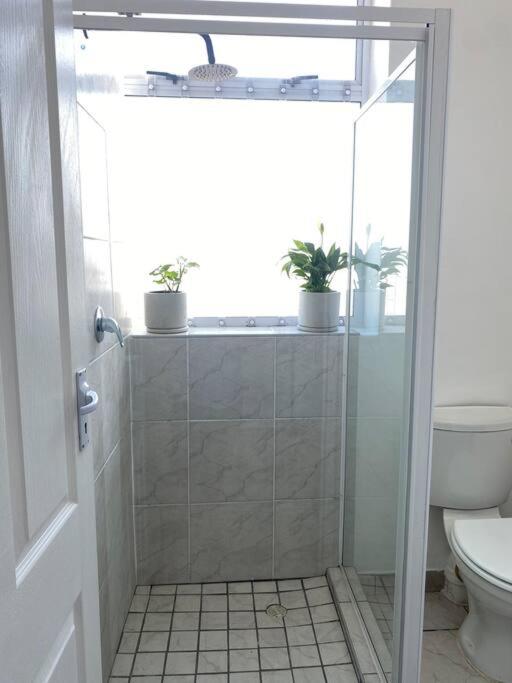 Beachside Studio Apartment on Surfers Corner view 5
