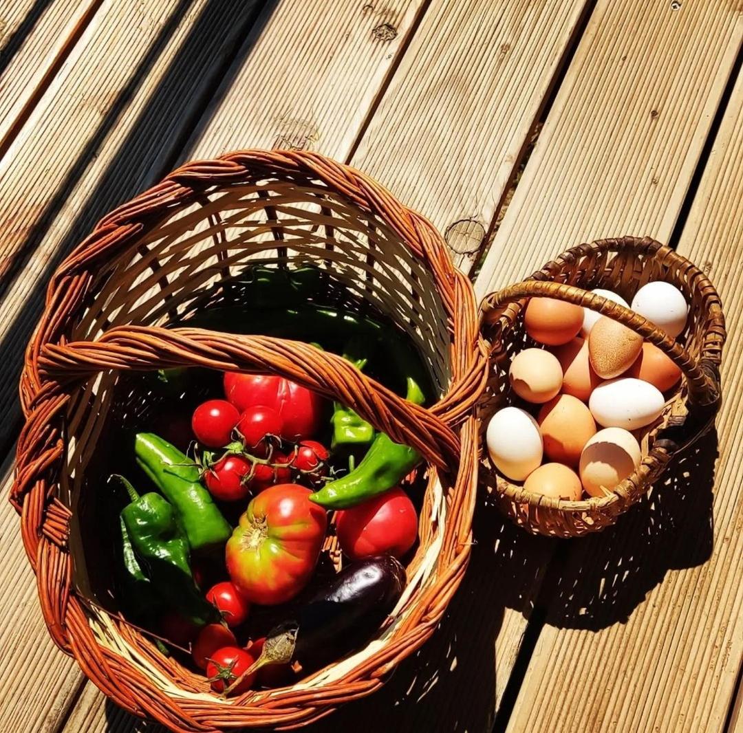 Photo 27