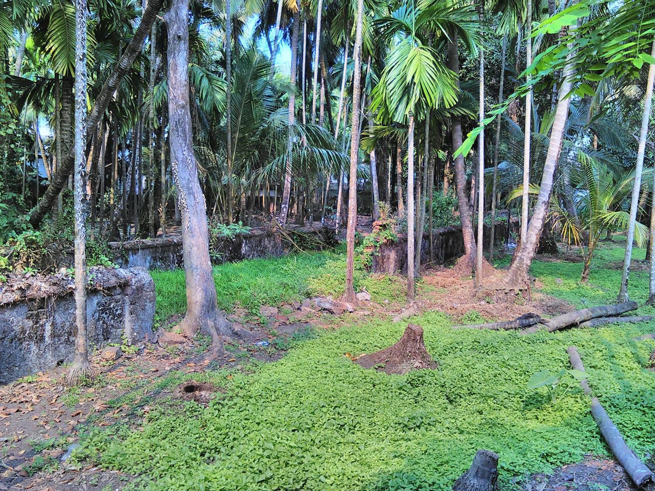 Photo 40