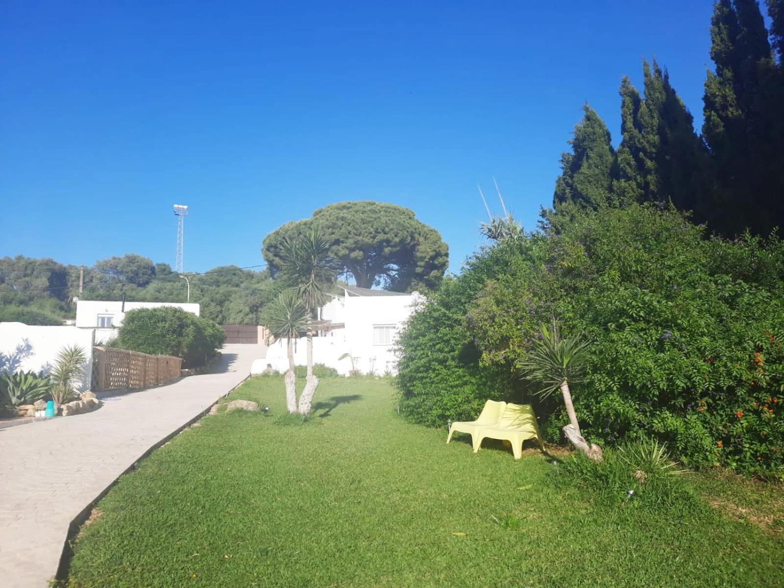 Levante