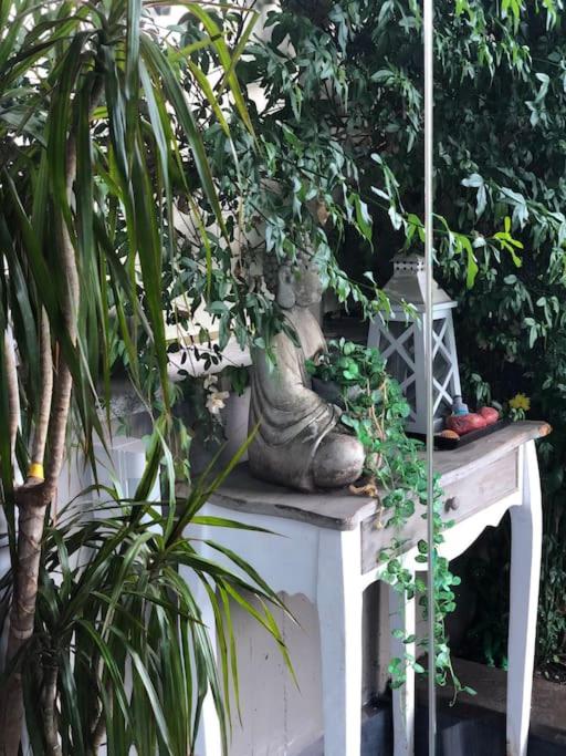 Favoloso appartamento Roma con giardino
