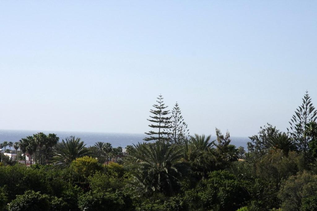 Apartamentos Los Tilos