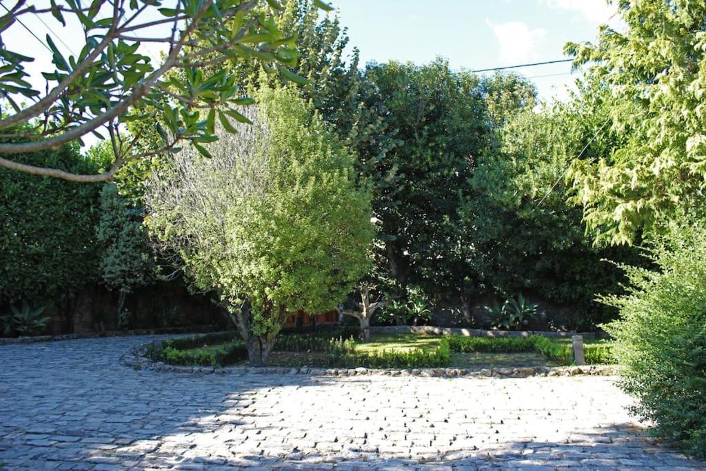 Photo 31