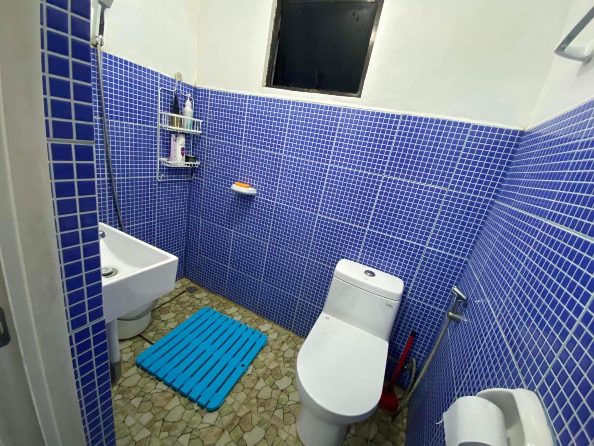 Bayabas,DigFamilyApartment Fully Furnished Near Tandag City