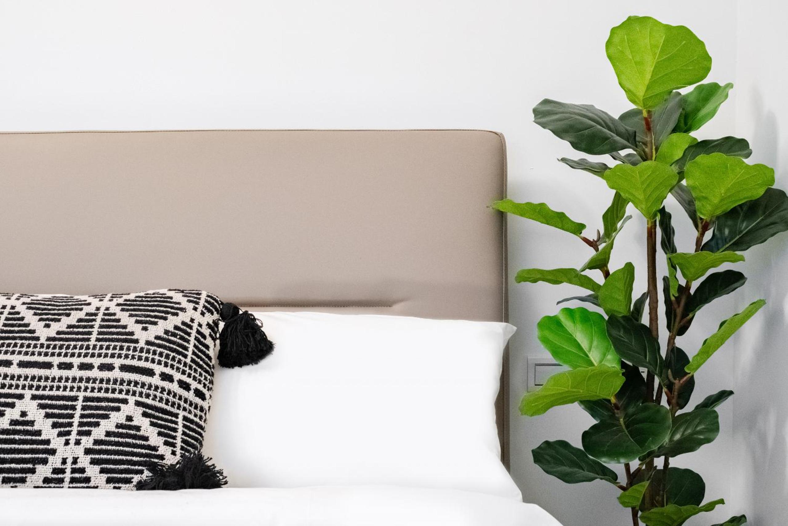 Lin Suites by Olala Homes
