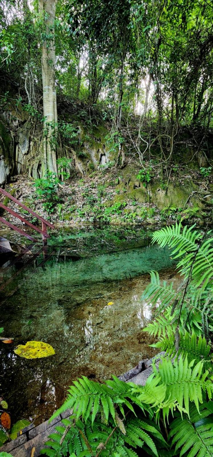 Hotel Fazenda Cachoeiras Serra da Bodoquena