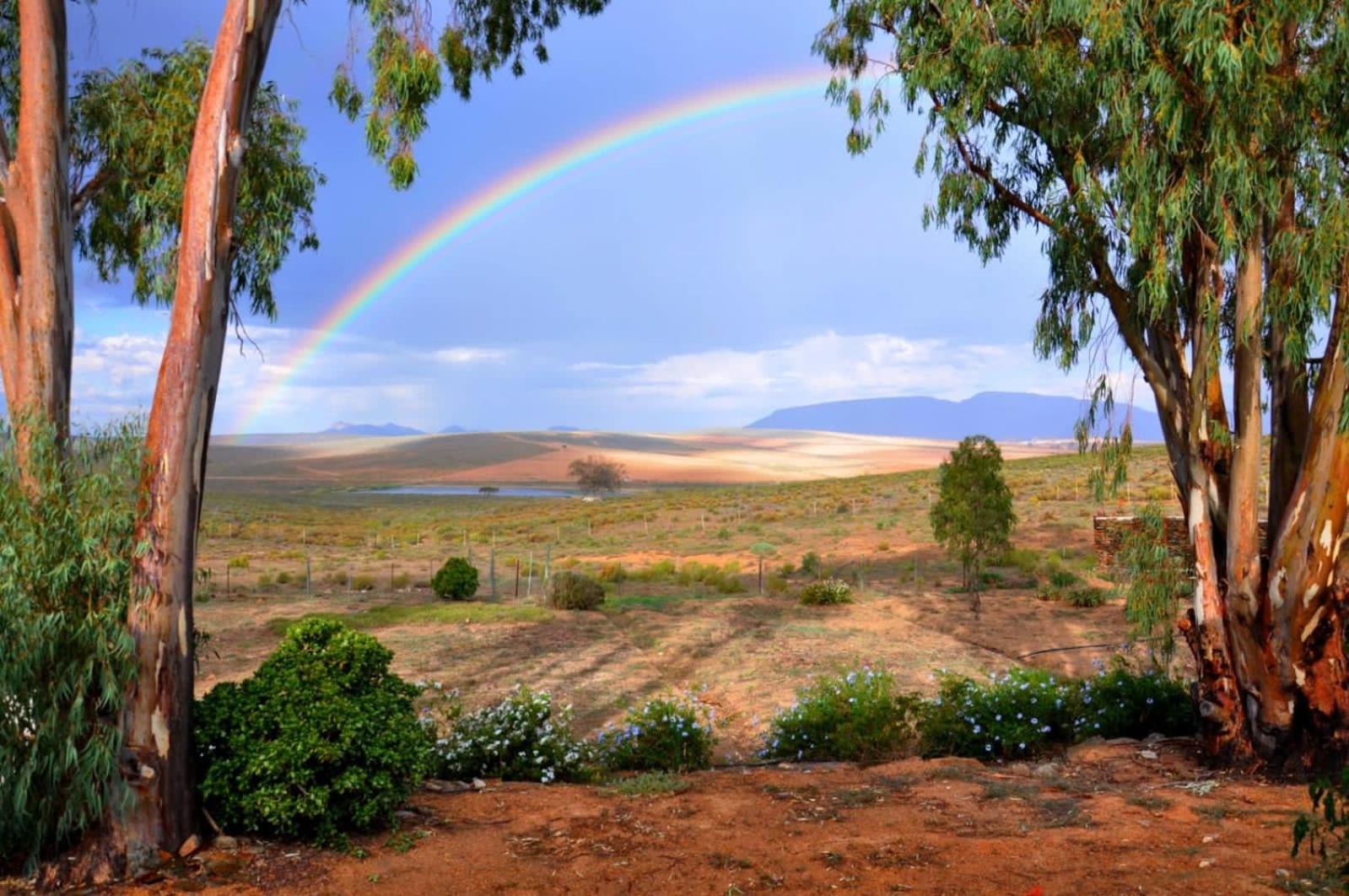 Alchemy Retreat - Entire Karoo Guest Farm - Barrydale