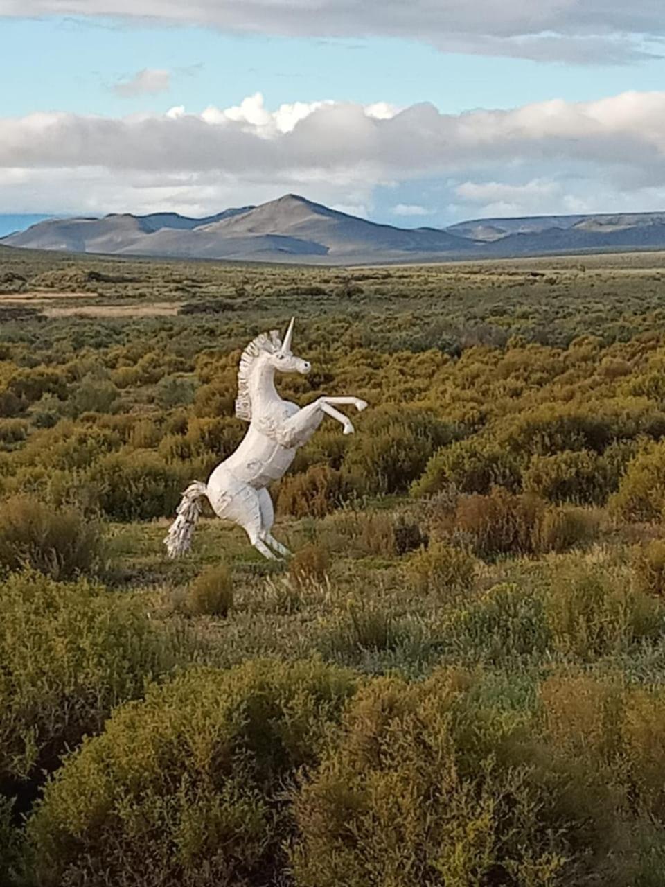 Alchemy Retreat - Entire Karoo Guest Farm - Barrydale