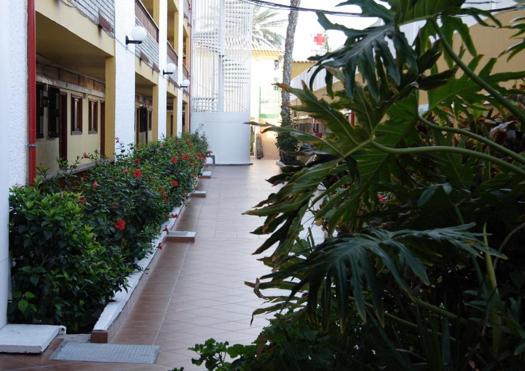 Apartamentos Los Tilos