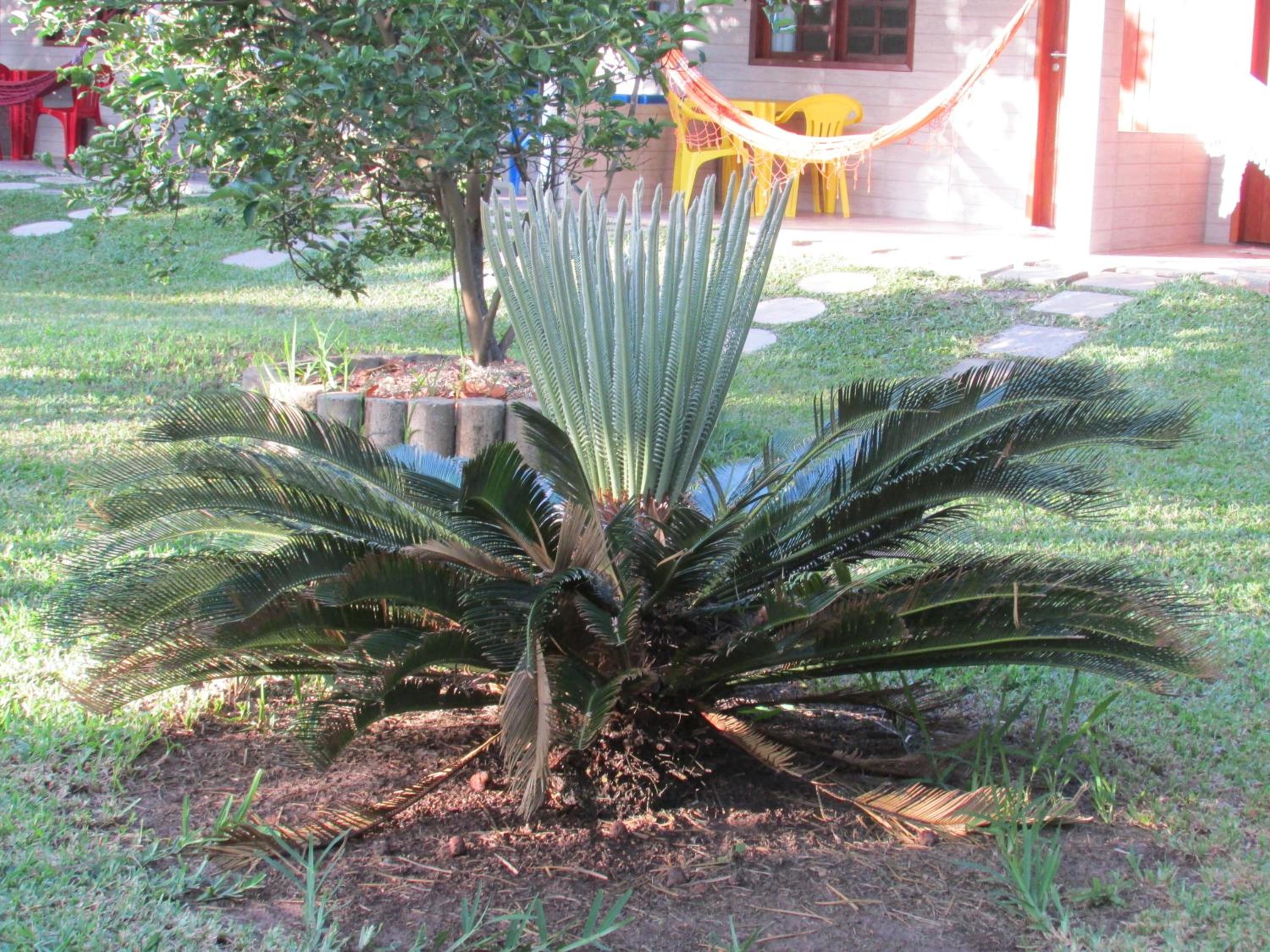 Hotel Pousada Ipitanga IV