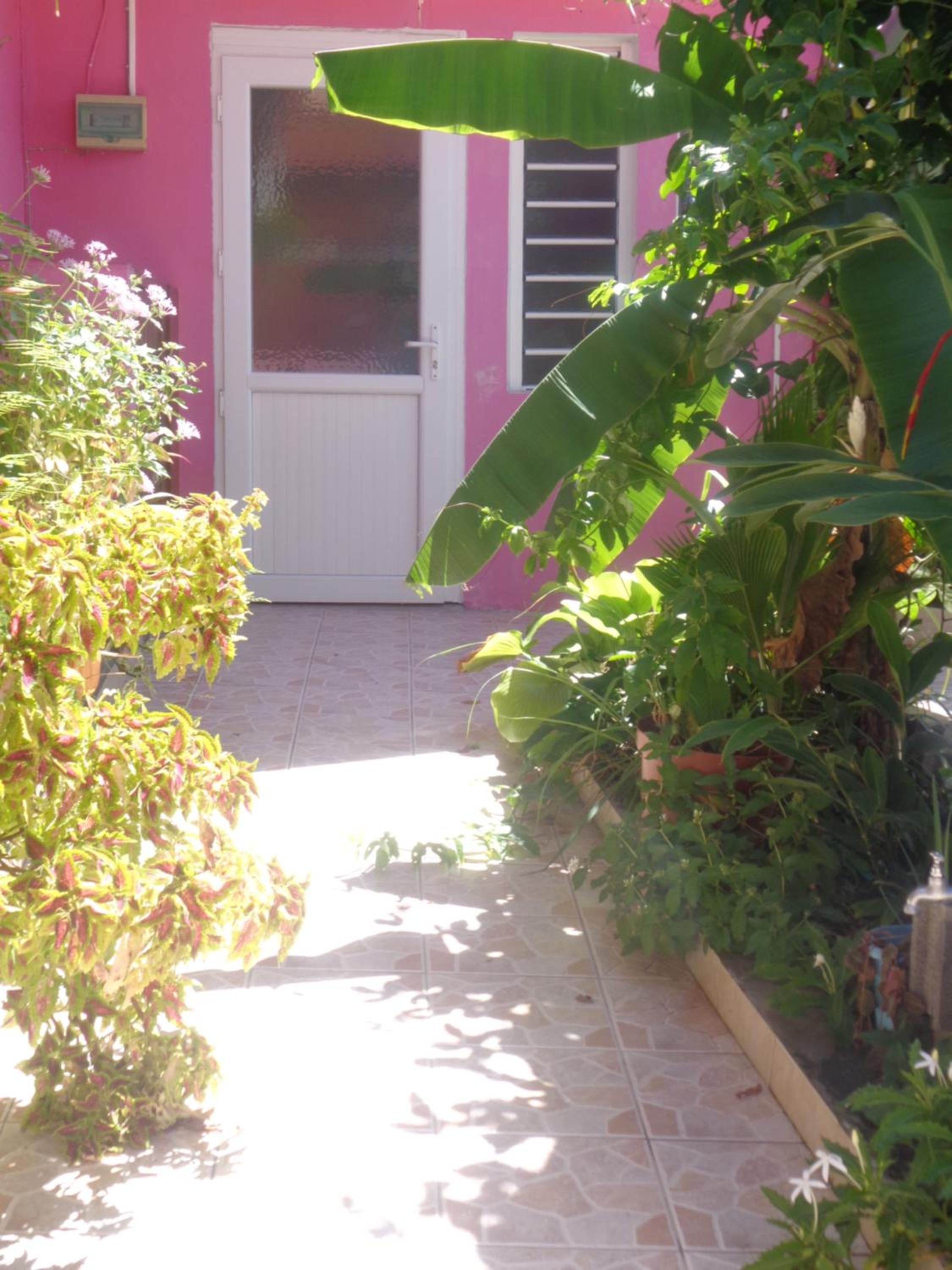 Photo 31