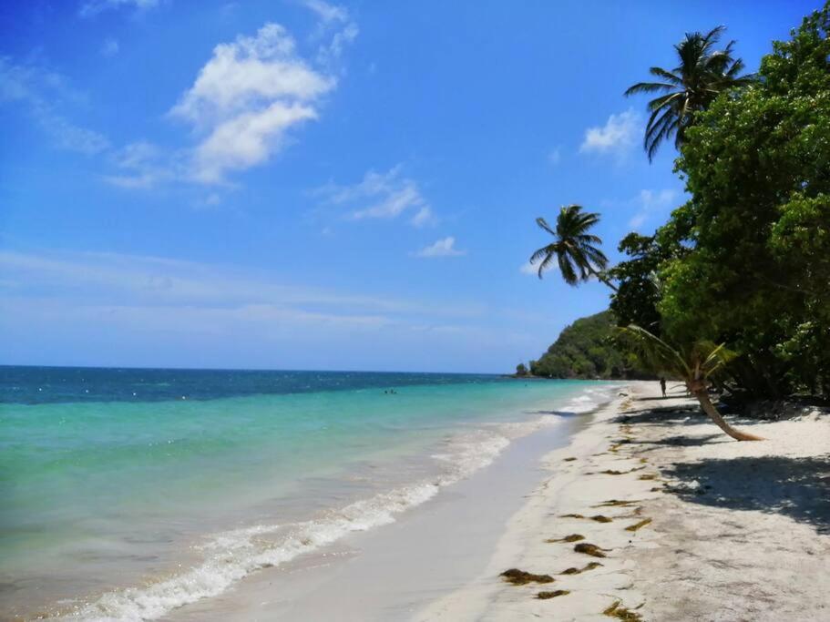 Mi Hermosa - Casa Isleña a 70 Metros de la Playa