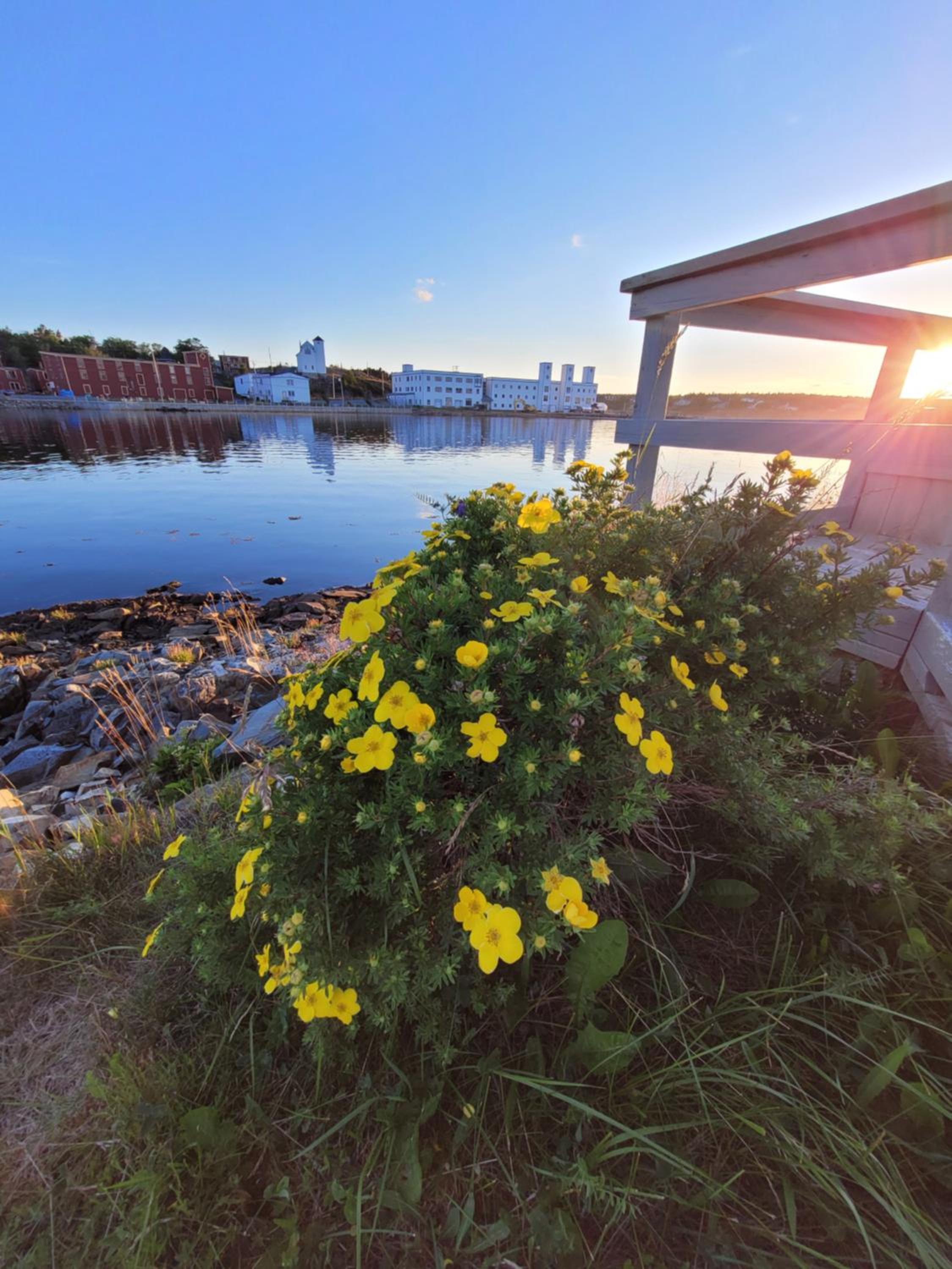 The Harbourside Inn