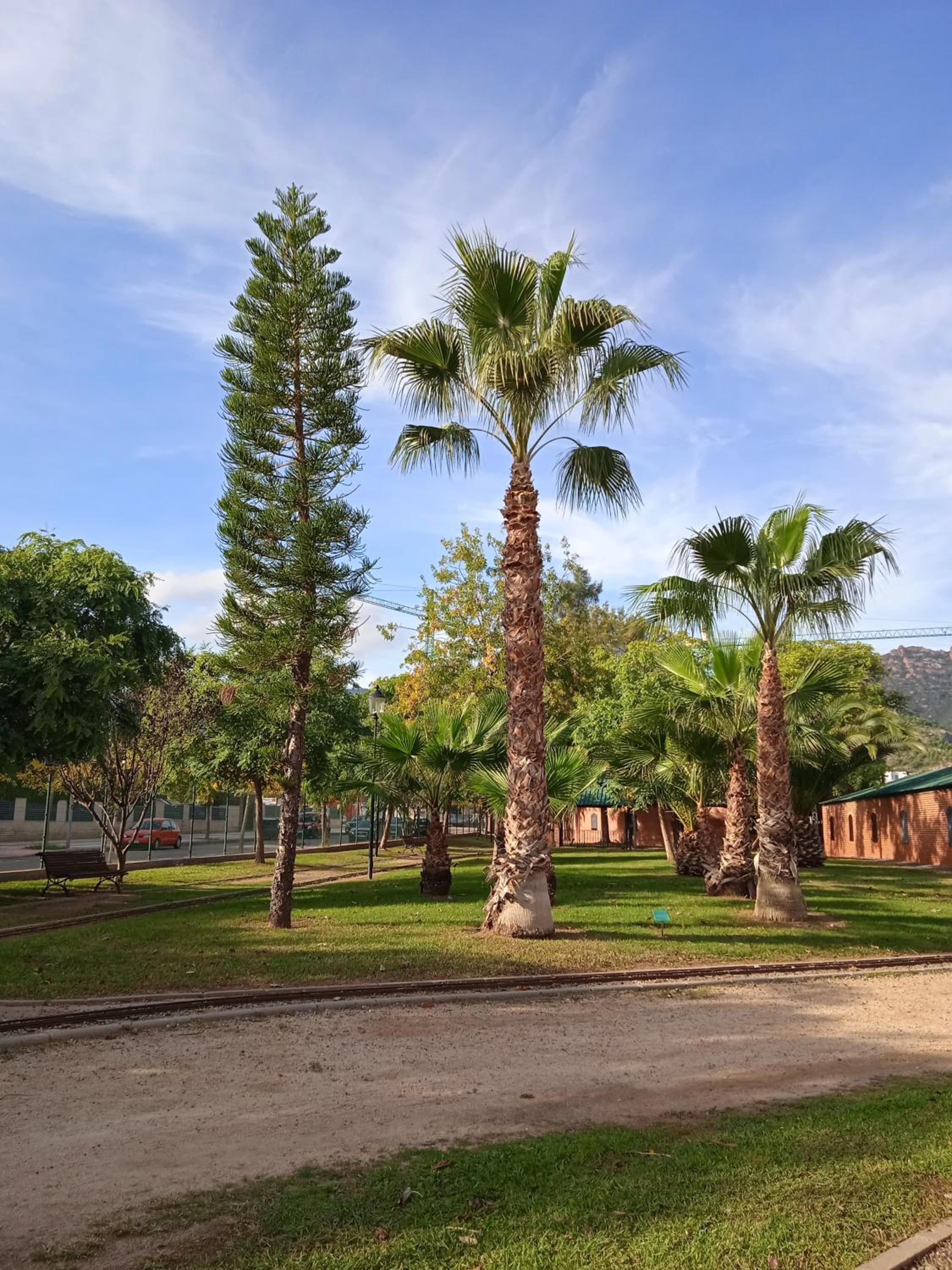 Residencial Los Flamencos