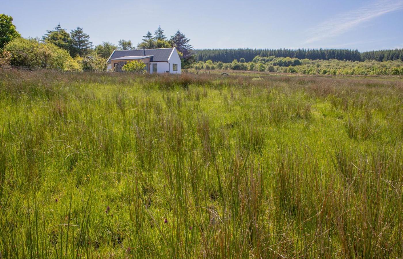 Finnan's Byre