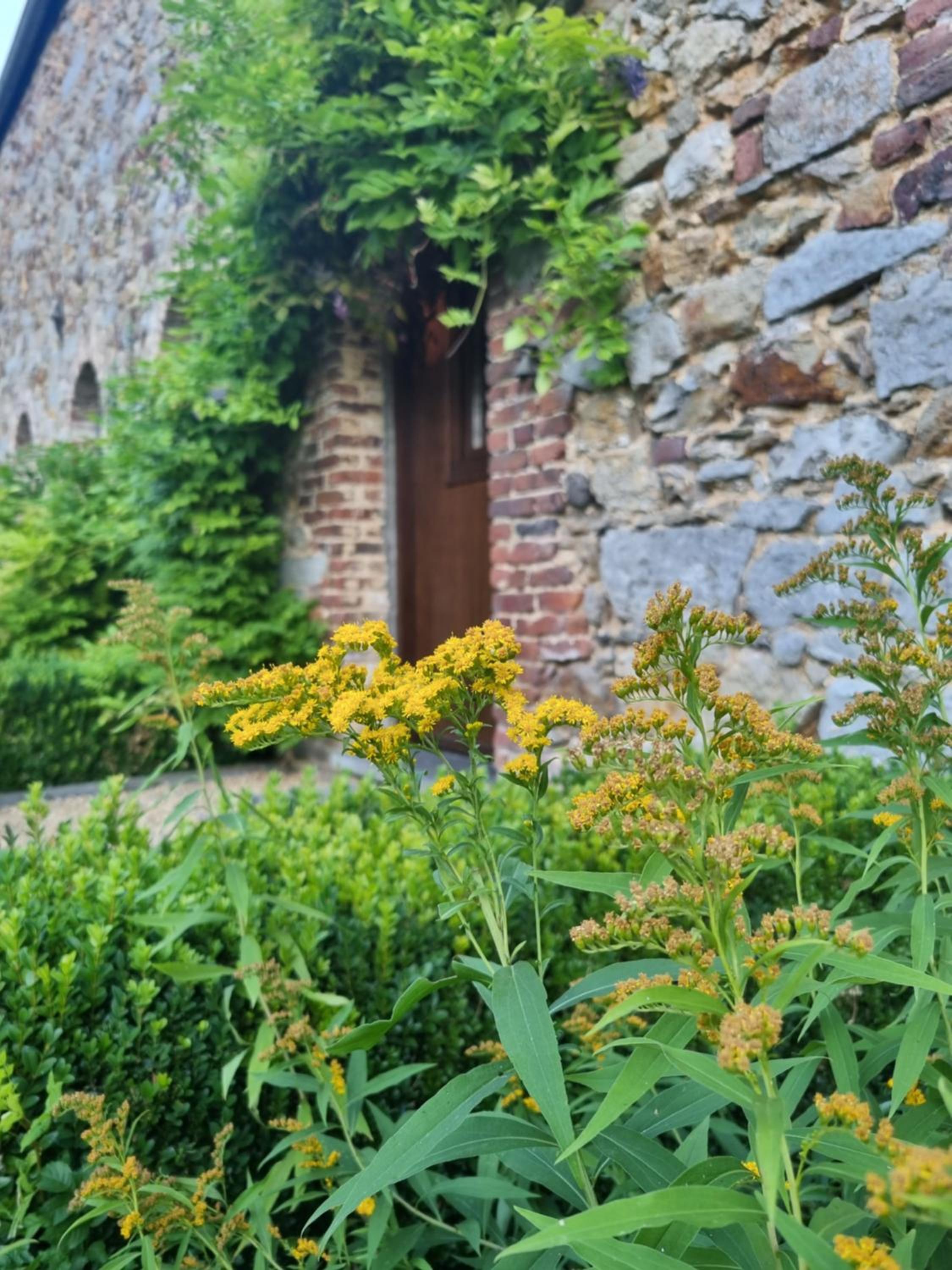 Gîte de la Ferme de Seron - gîte de charme à la campagne avec sauna