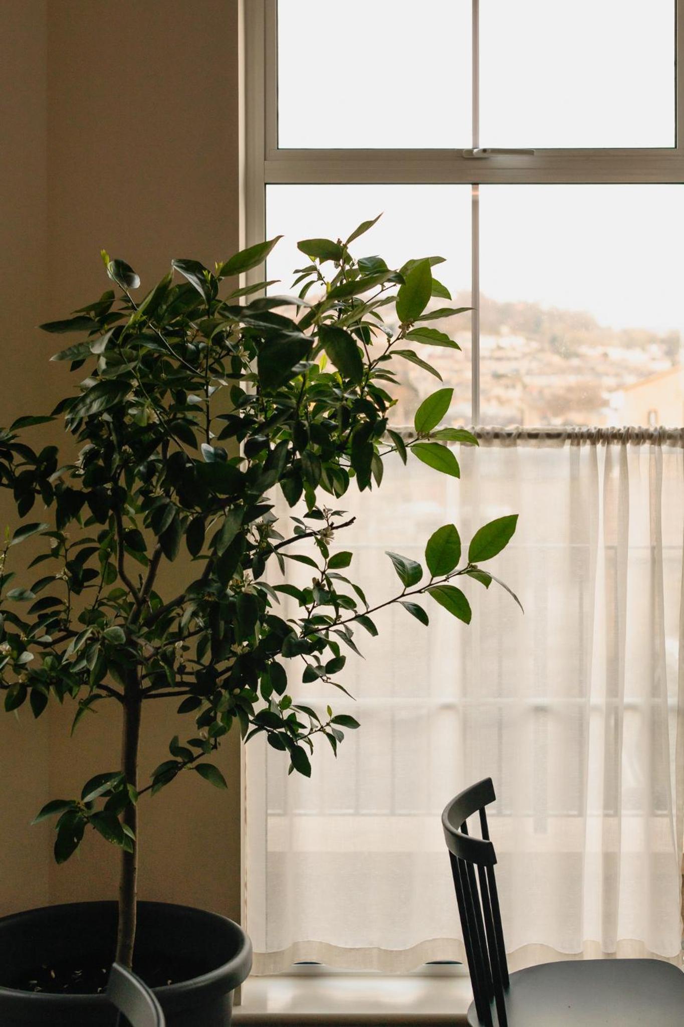Leighton House - Boutique Guesthouse