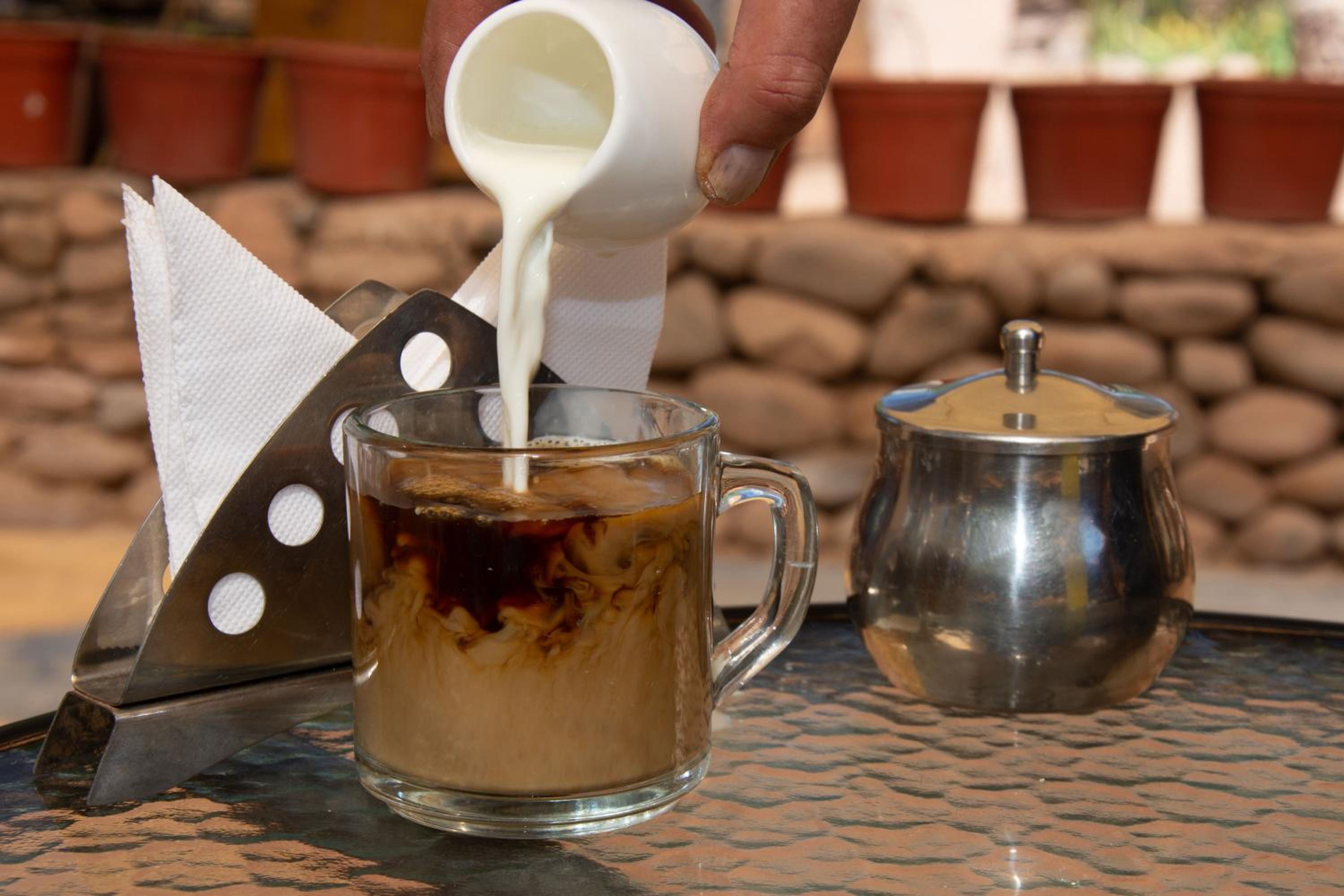 Hotel-Camping Takha Takha
